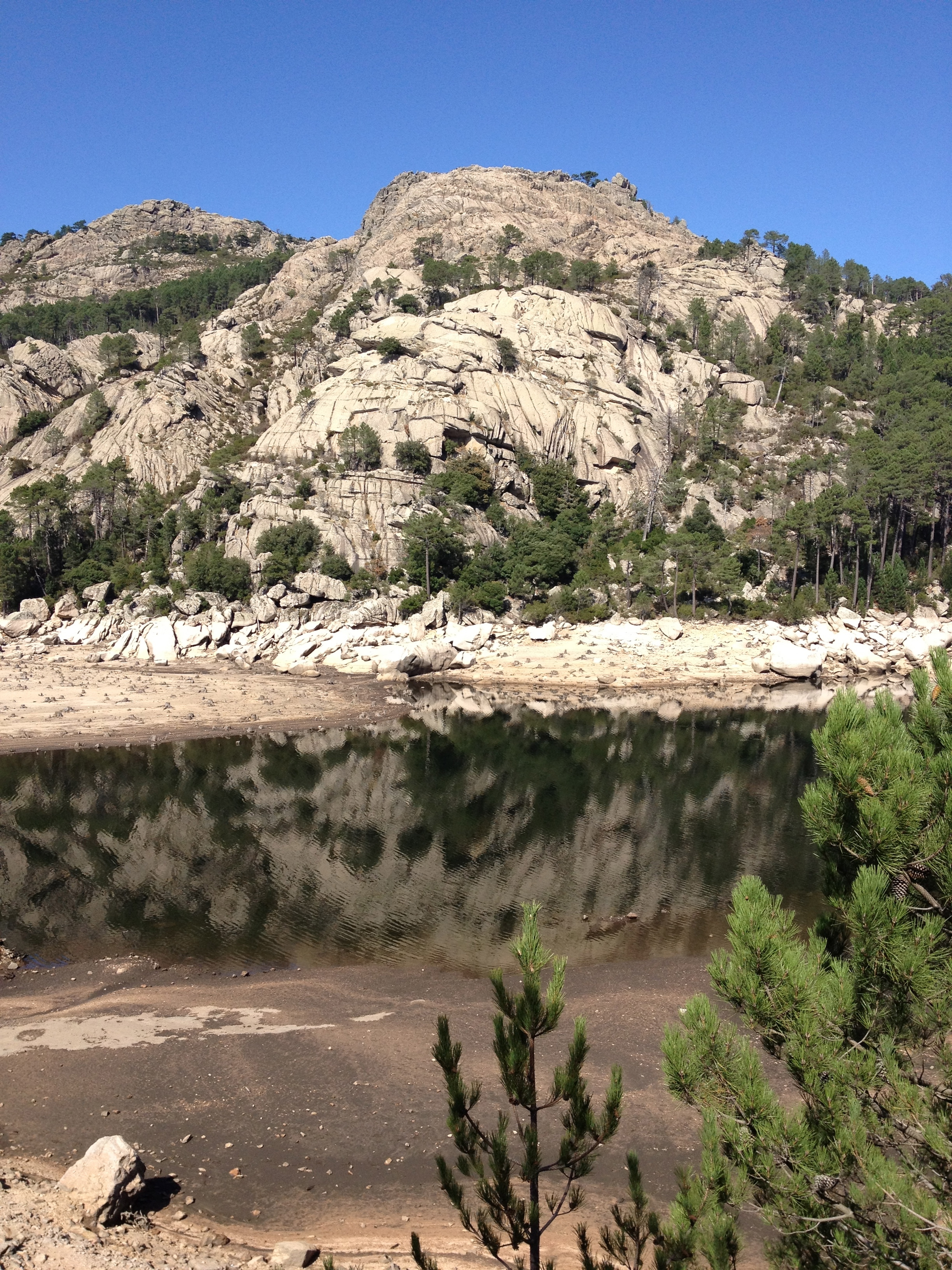 รูปถ่าย ฝรั่งเศส(France) คอร์สิคา(Corsica) ป่าลอสเปดาเล(L'ospedale Forest) 2012-09 29
