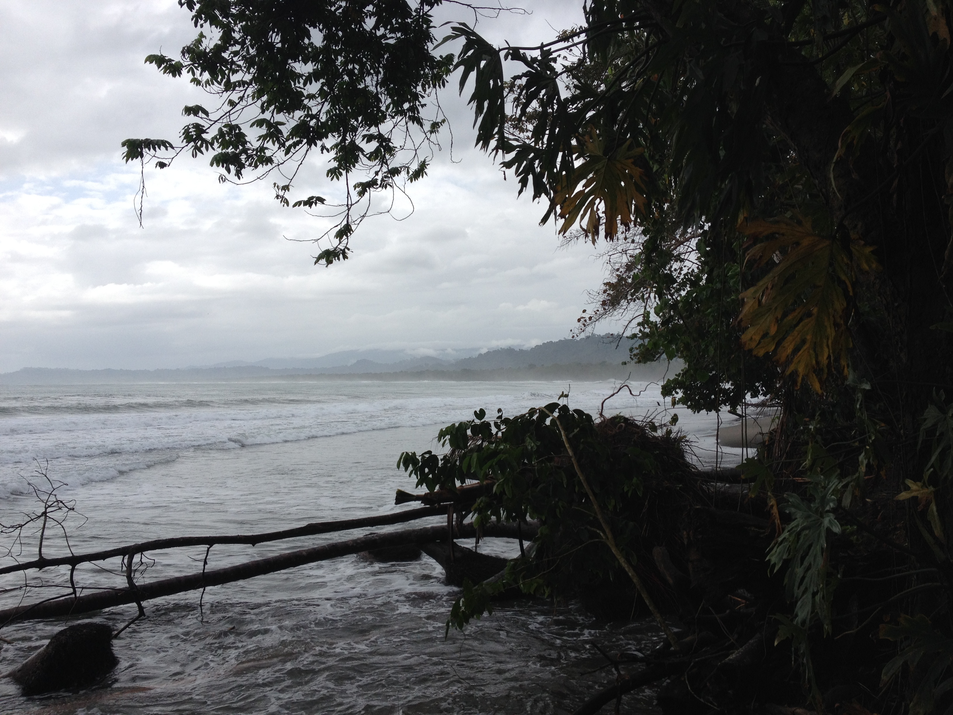 รูปถ่าย คอสตาริกา(Costa Rica) กาอุยตา(Cahuita) 2015-03 161