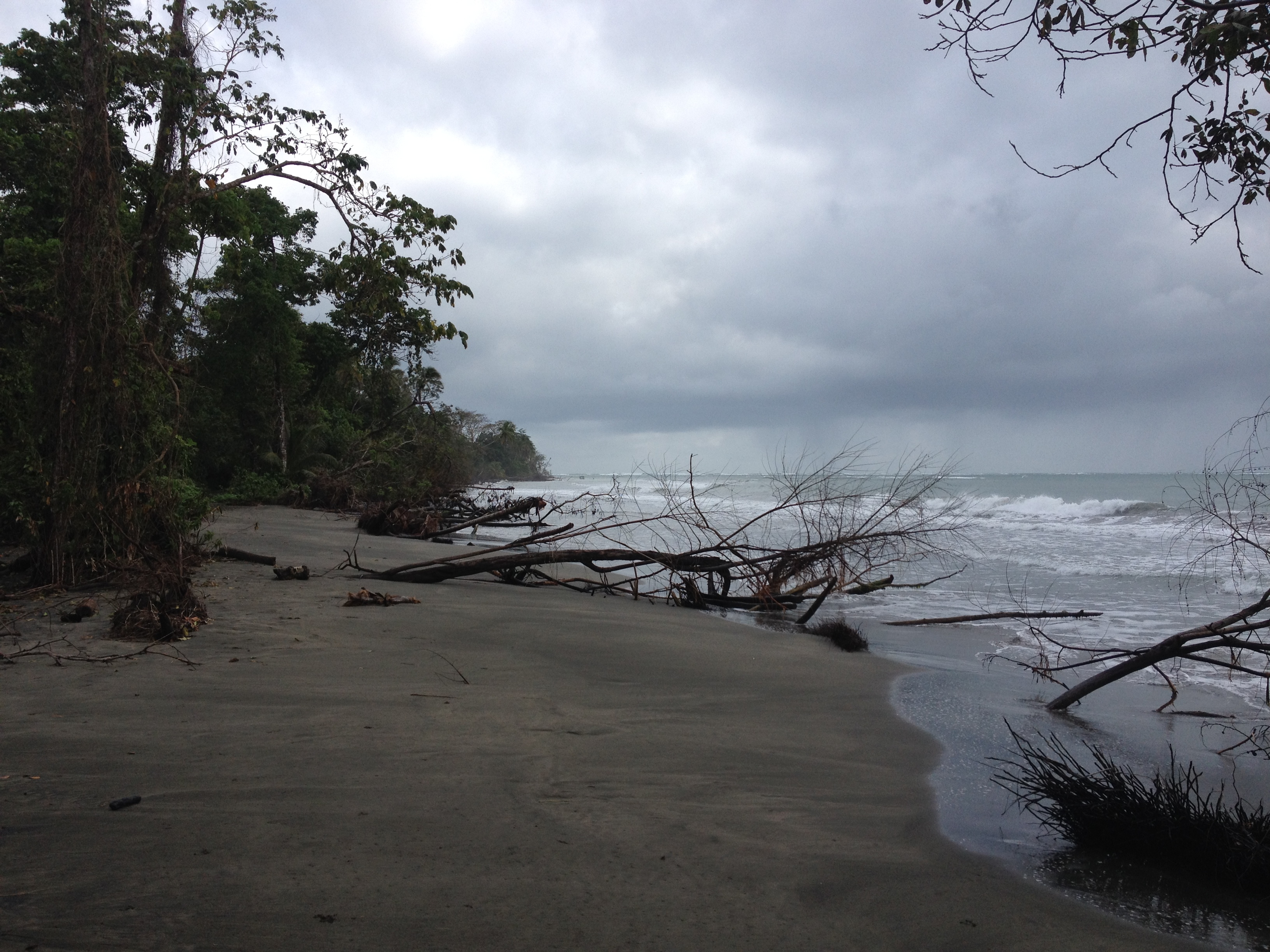 รูปถ่าย คอสตาริกา(Costa Rica) กาอุยตา(Cahuita) 2015-03 162