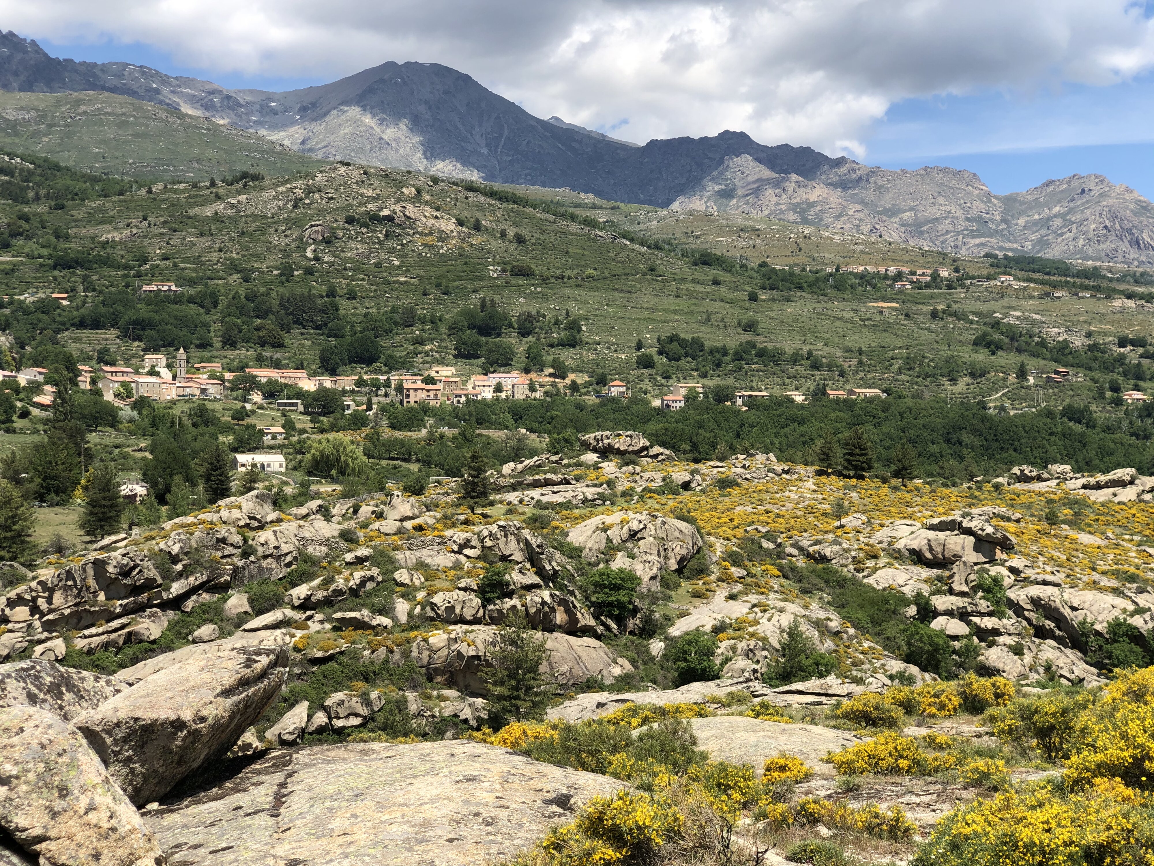 รูปถ่าย ฝรั่งเศส(France) คอร์สิคา(Corsica) ป่าไอโตเน(Aitone Forest) 2021-06 10