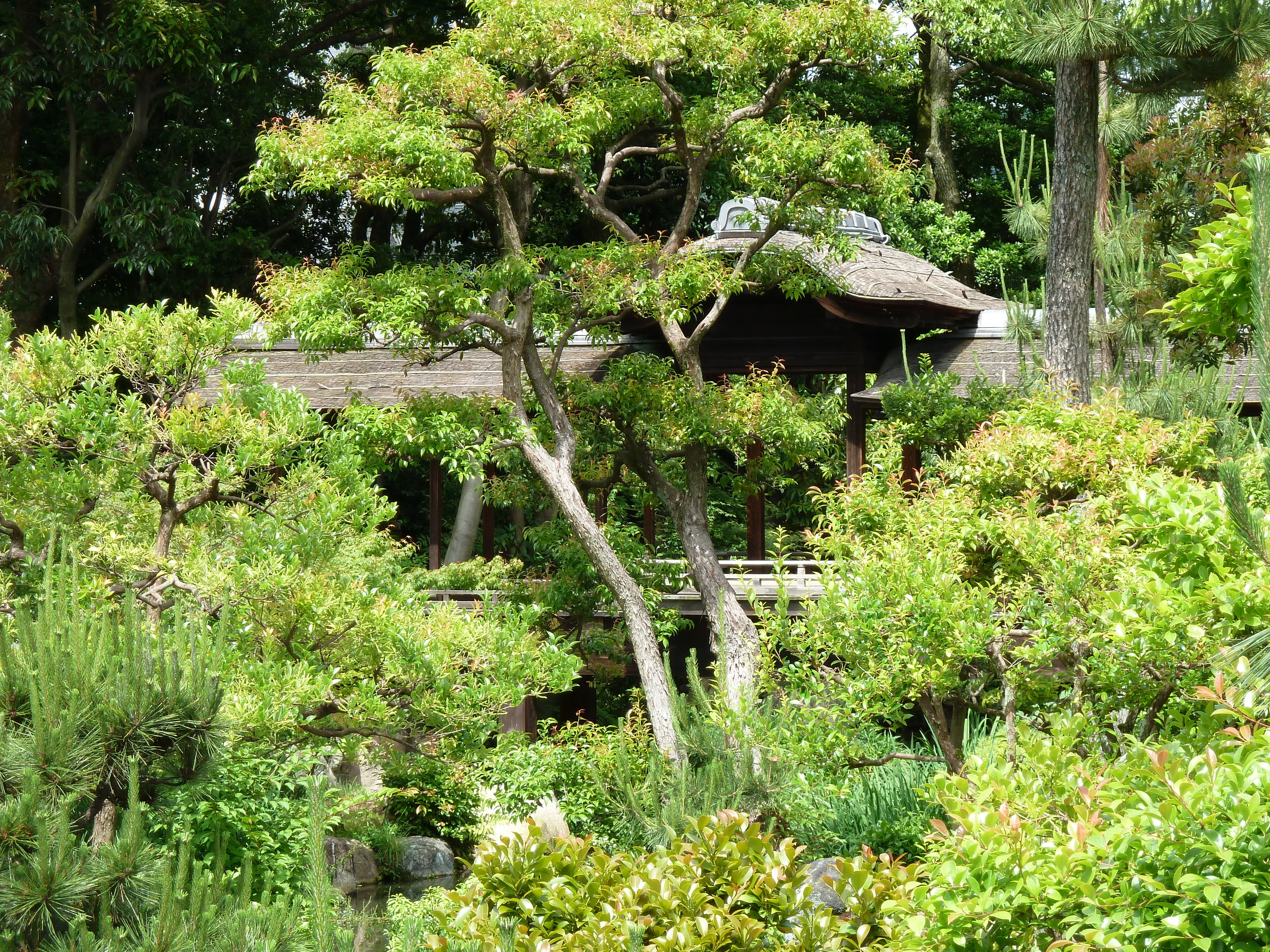 รูปถ่าย ญี่ปุ่น(Japan) เกียวโต(Kyoto) สวนโชเซเอ็ง(Shosei en Garden) 2010-06 58