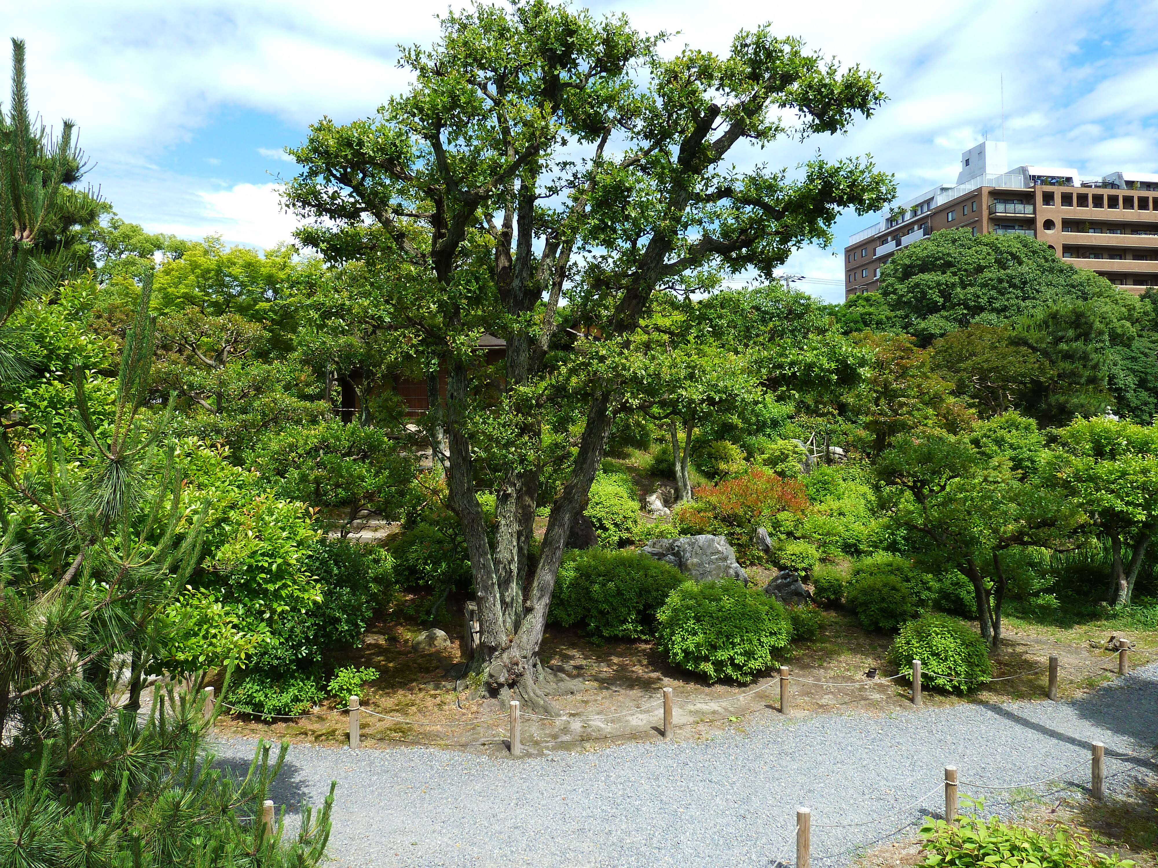 รูปถ่าย ญี่ปุ่น(Japan) เกียวโต(Kyoto) สวนโชเซเอ็ง(Shosei en Garden) 2010-06 66