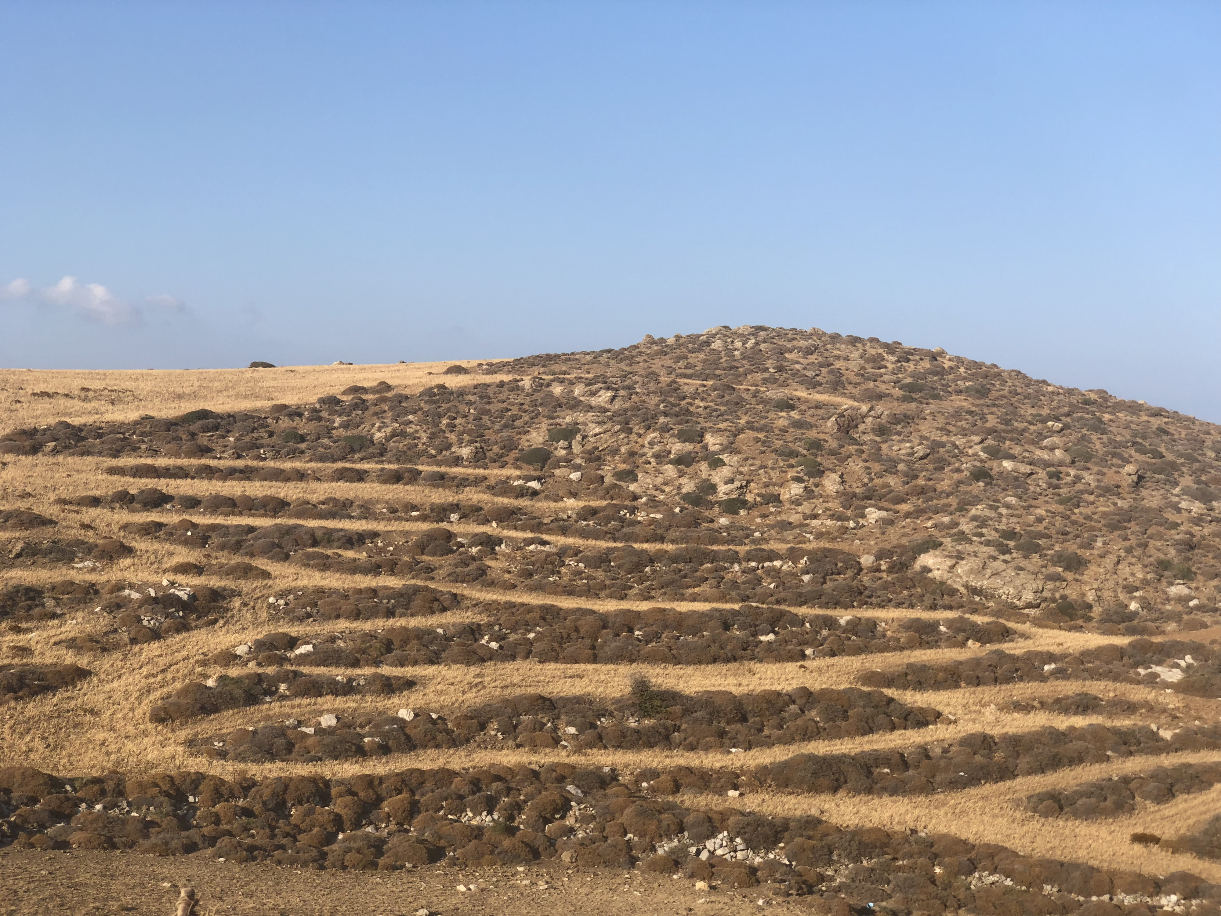 รูปถ่าย กรีก(Greece) เกาะอัสติปาเลีย(Astypalea) 2018-07 56