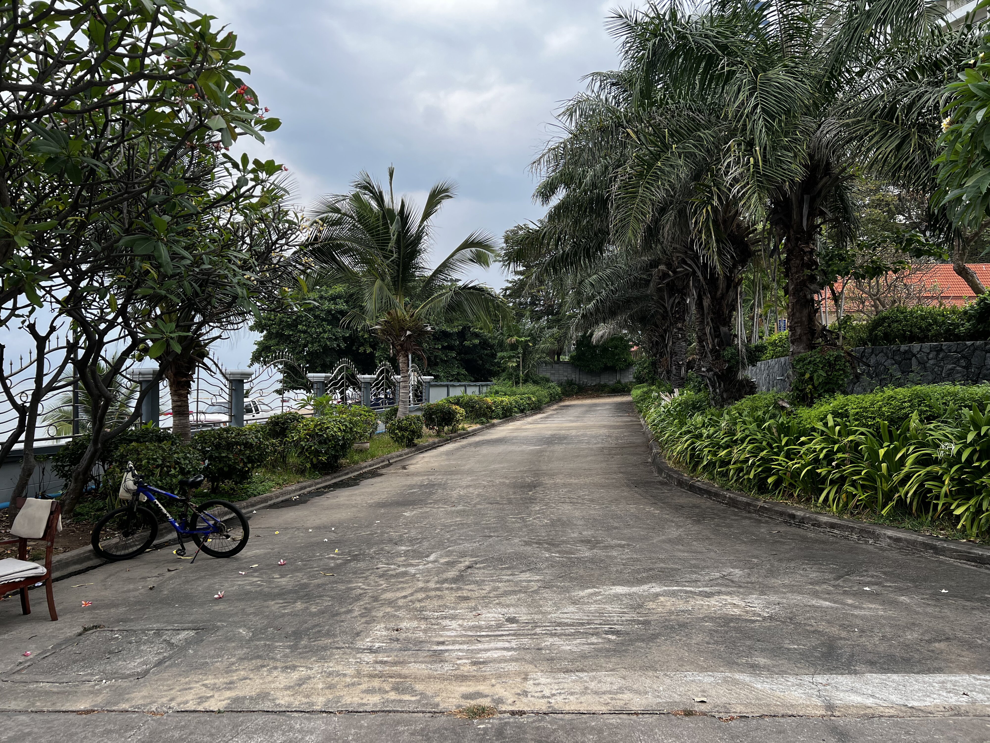 รูปถ่าย ไทย(Thailand) พัทยา(Pattaya) 2023-01 45