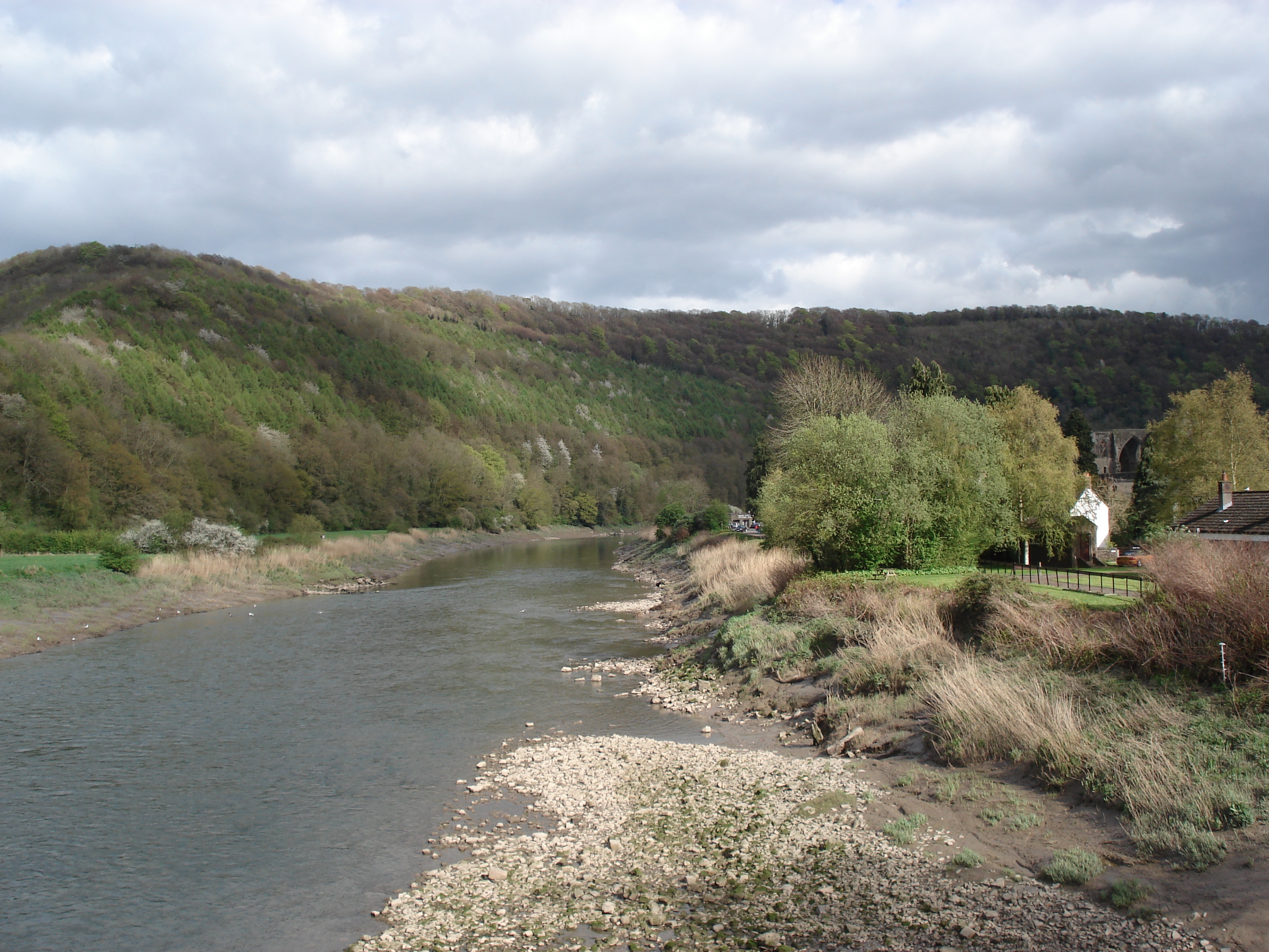 รูปถ่าย อังกฤษ(United Kingdom) ทินเทิร์น(Tintern) 2006-05 23