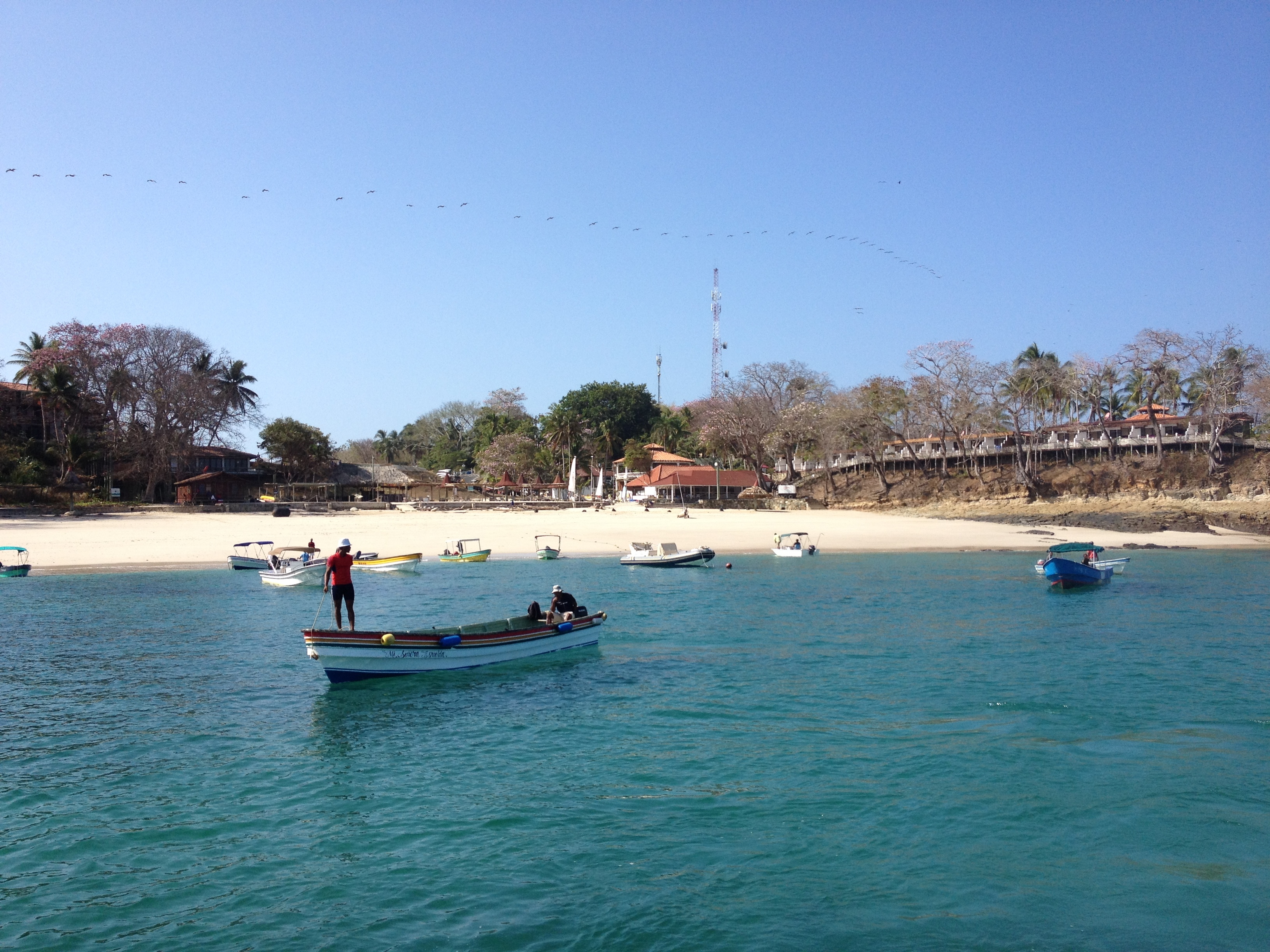 รูปถ่าย ปานามา(Panama) เกาะคอนตาโดรา(Contadora Island) 2015-03 162