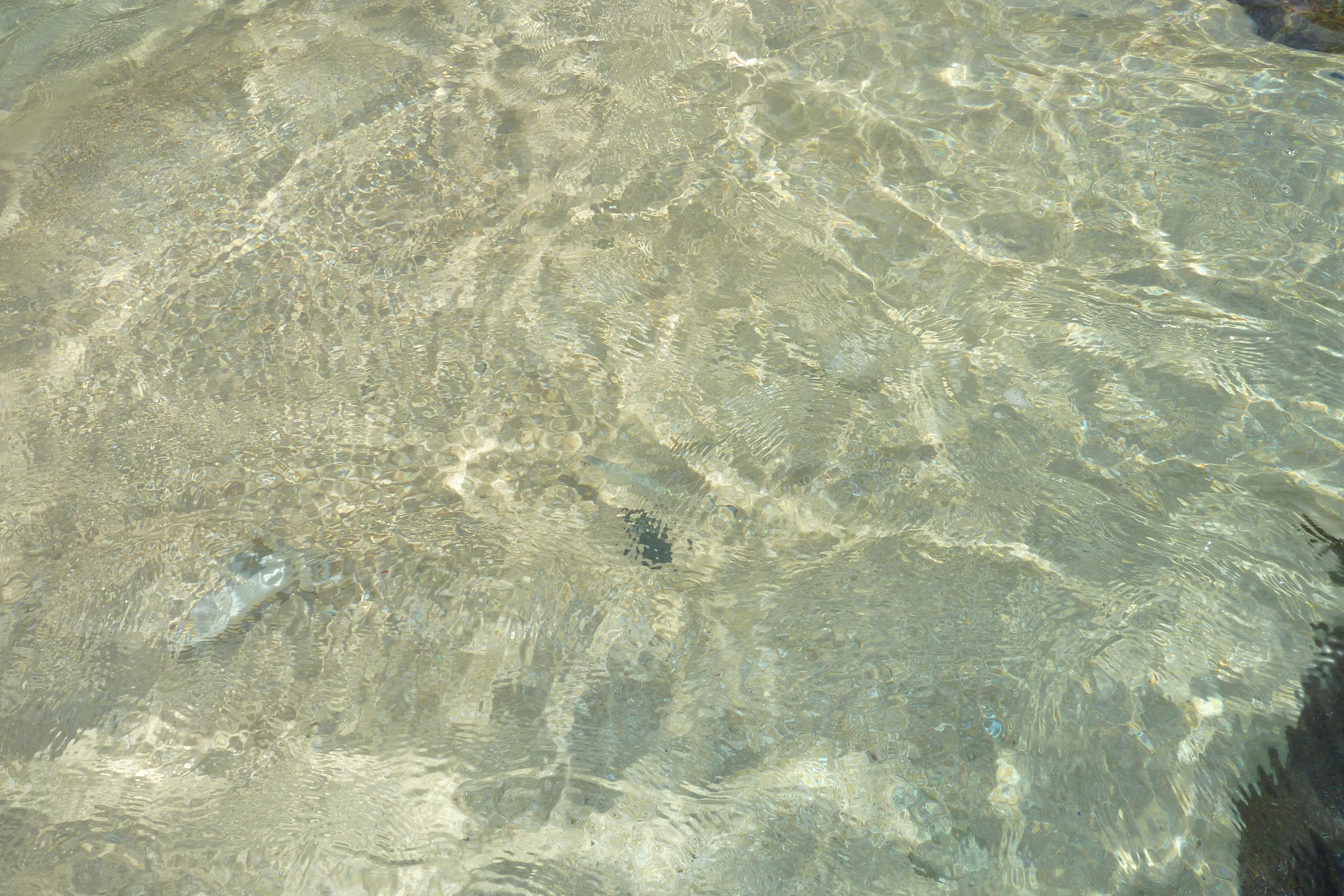 รูปถ่าย เซเชลส์(Seychelles) เกาะมาเฮ(Mahe) 2011-10 43