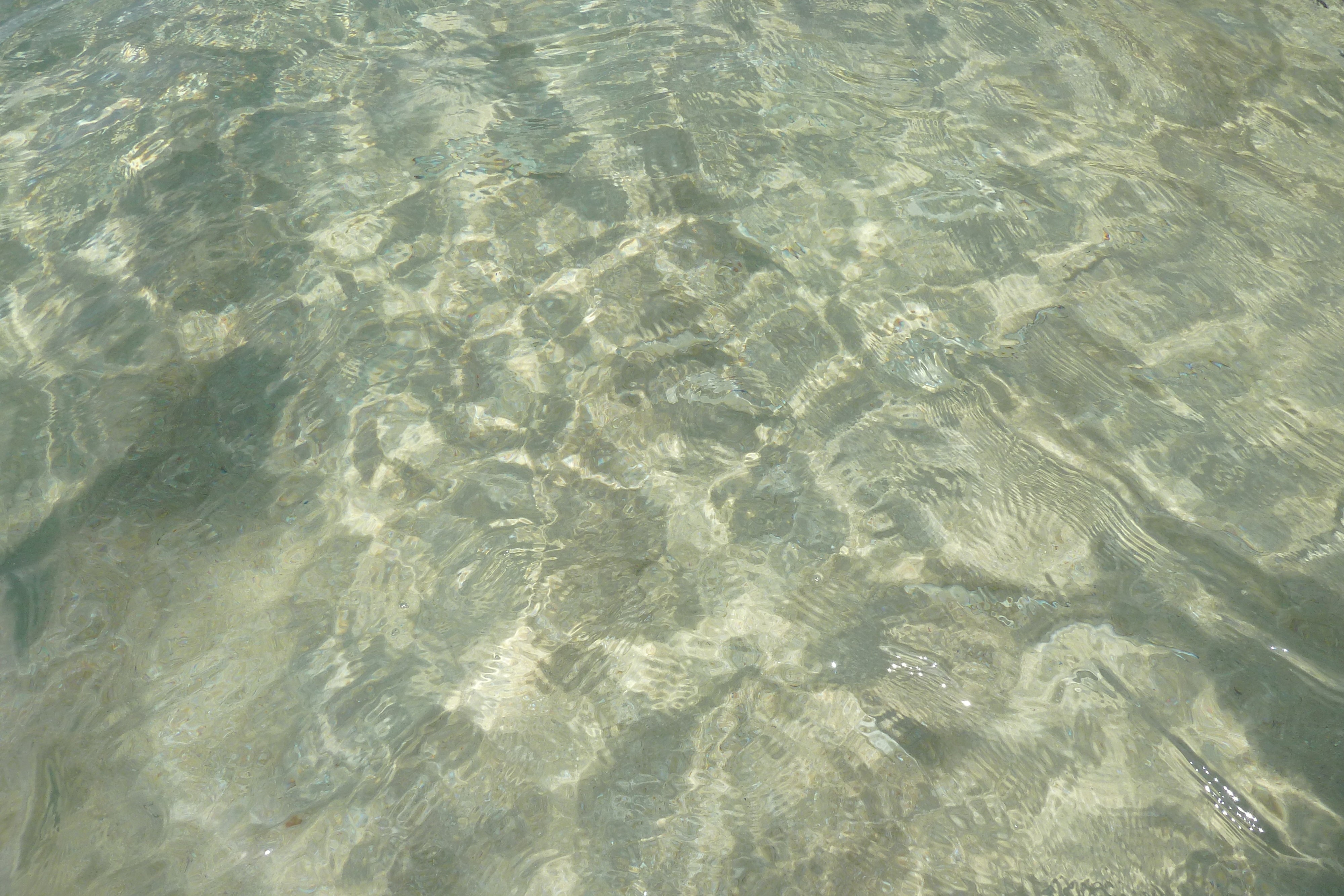 รูปถ่าย เซเชลส์(Seychelles) เกาะมาเฮ(Mahe) 2011-10 64