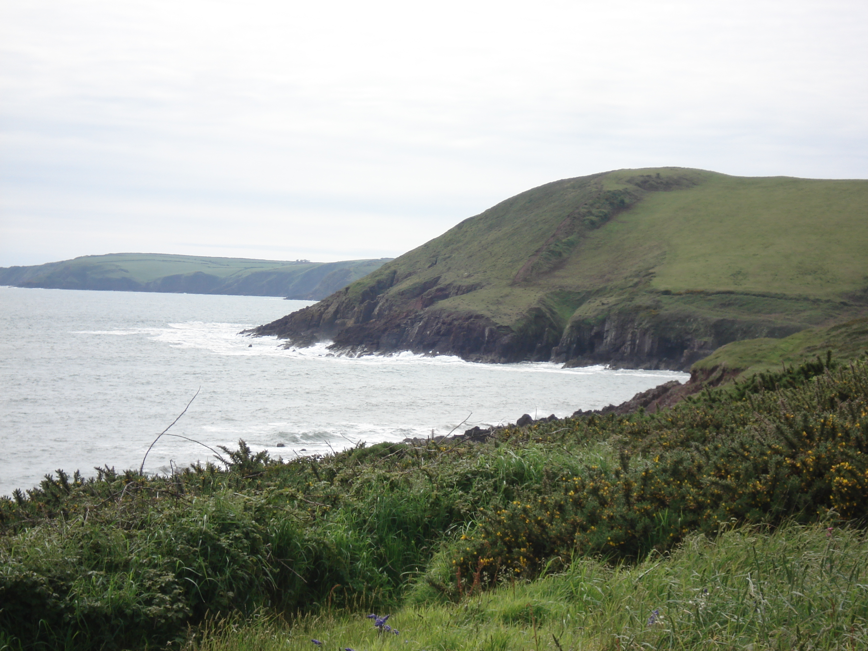 รูปถ่าย อังกฤษ(United Kingdom) เปมโบรคเชอร์(Pembrokeshire) 2006-05 40