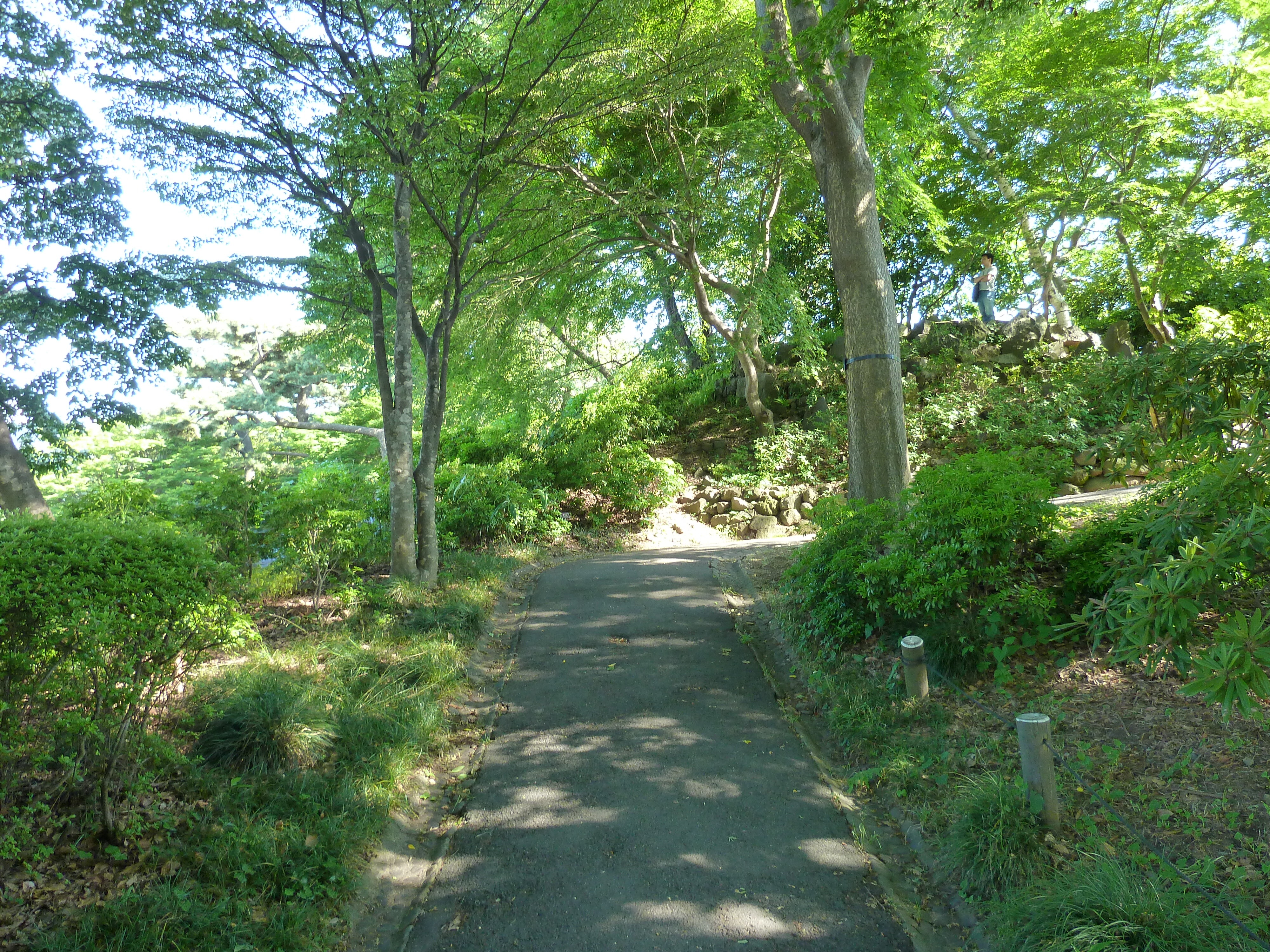 รูปถ่าย ญี่ปุ่น(Japan) โตเกียว(Tokyo) พระราชวังหลวง(Imperial Palace) 2010-06 83