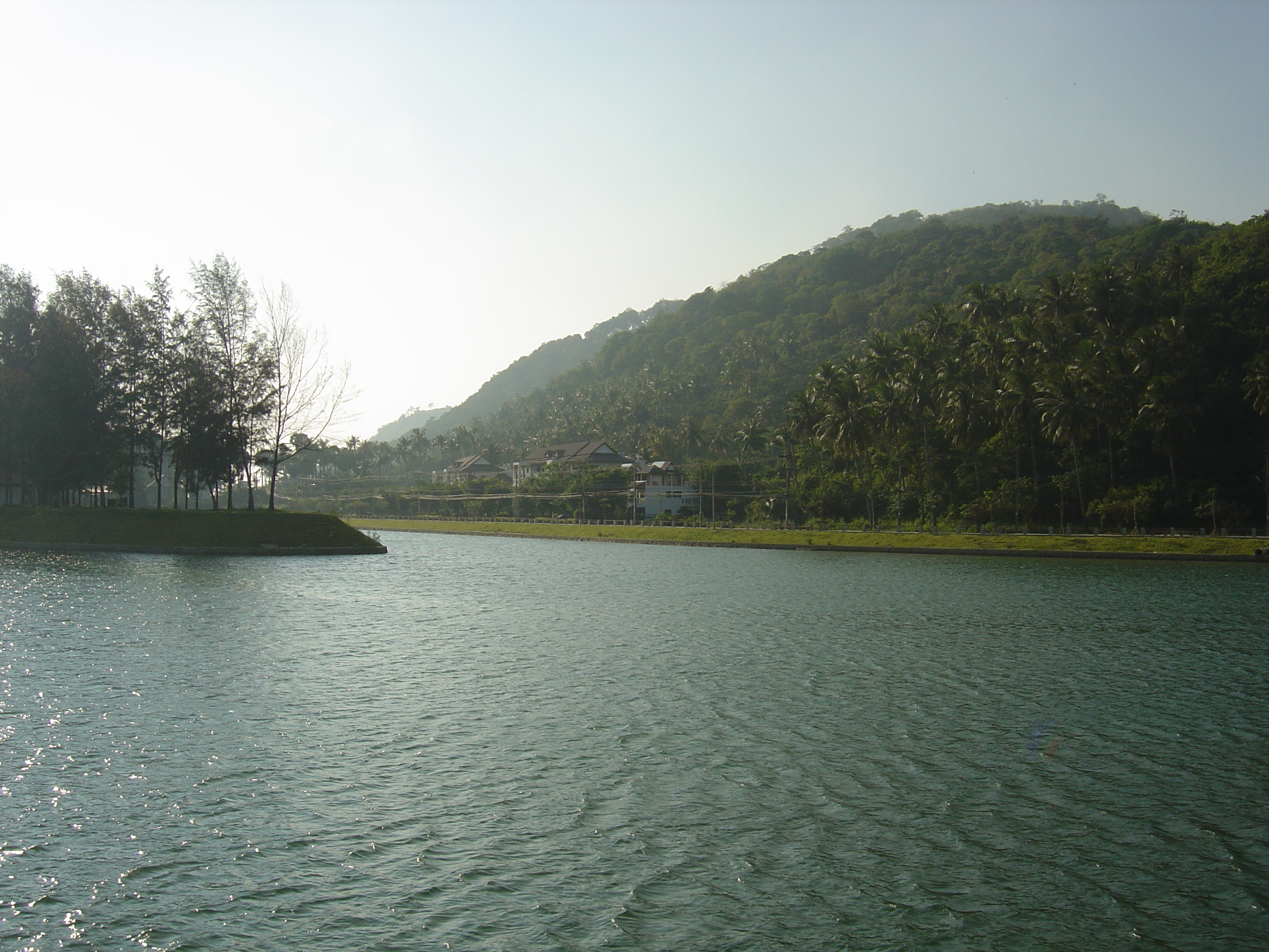 รูปถ่าย ไทย(Thailand) ภูเก็ต(Phuket) หาดในหาน(Nai Harn Beach) 2005-12 43