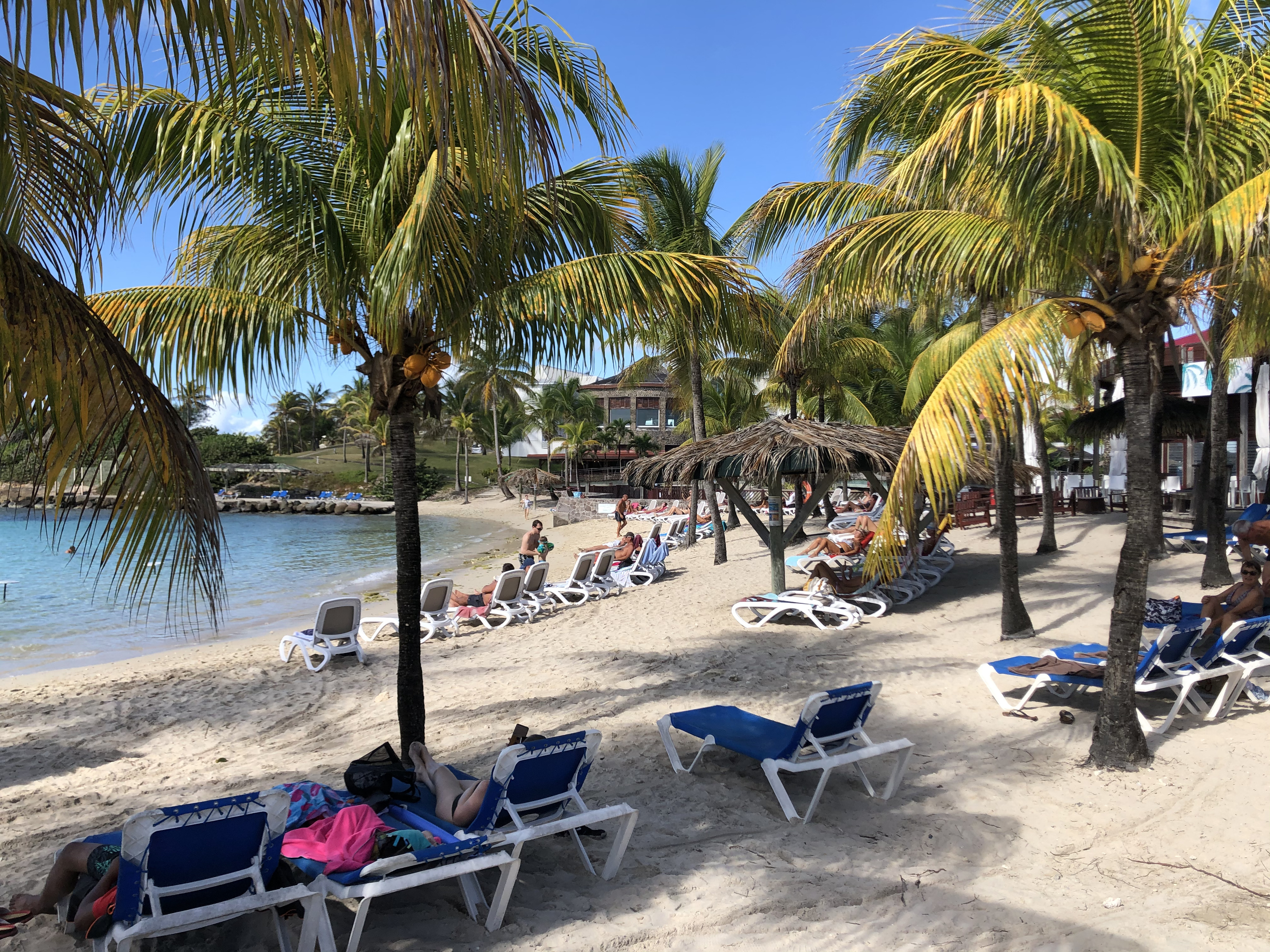 รูปถ่าย กวาเดอลูป(Guadeloupe) โรงแรมเลอมันกานาโอ(Le Manganao Hotel) 2021-02 38