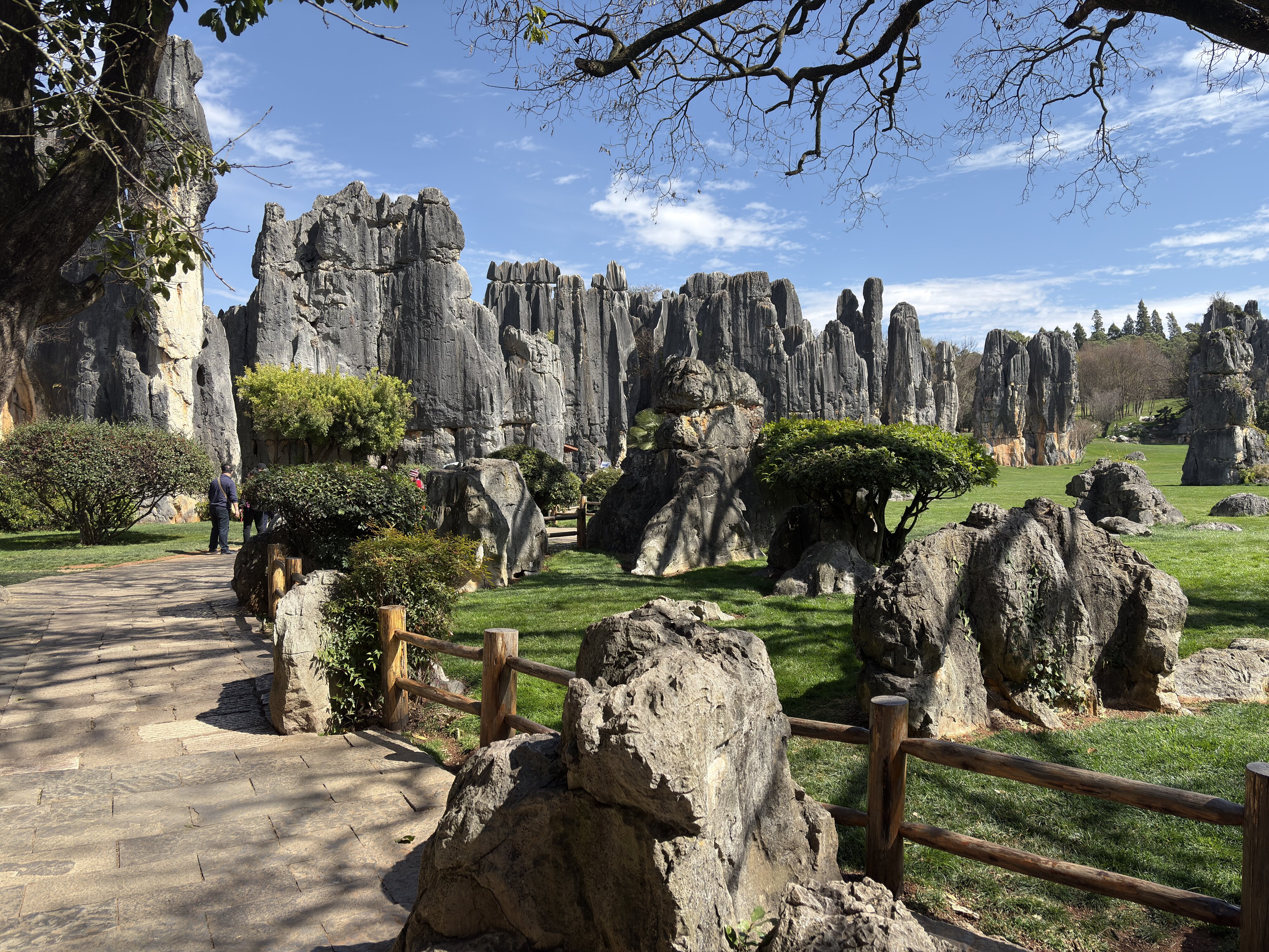 รูปถ่าย จีน(China) ป่าหินสือหลิน(Shilin Stone Forest) 2026-01 233