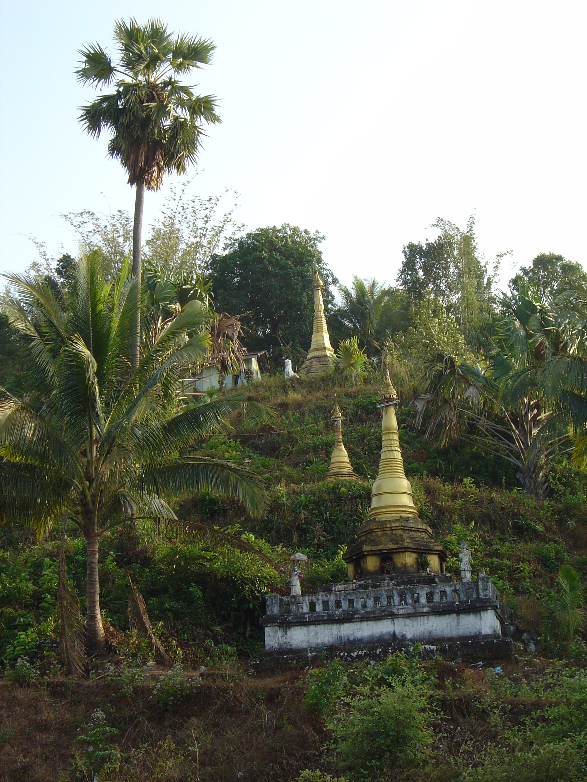 รูปถ่าย พม่า(Myanmar) ถนนจากทวายไปหาดหม่องมะกัน(Road from Dawei to Maungmagan beach) 2005-01 38