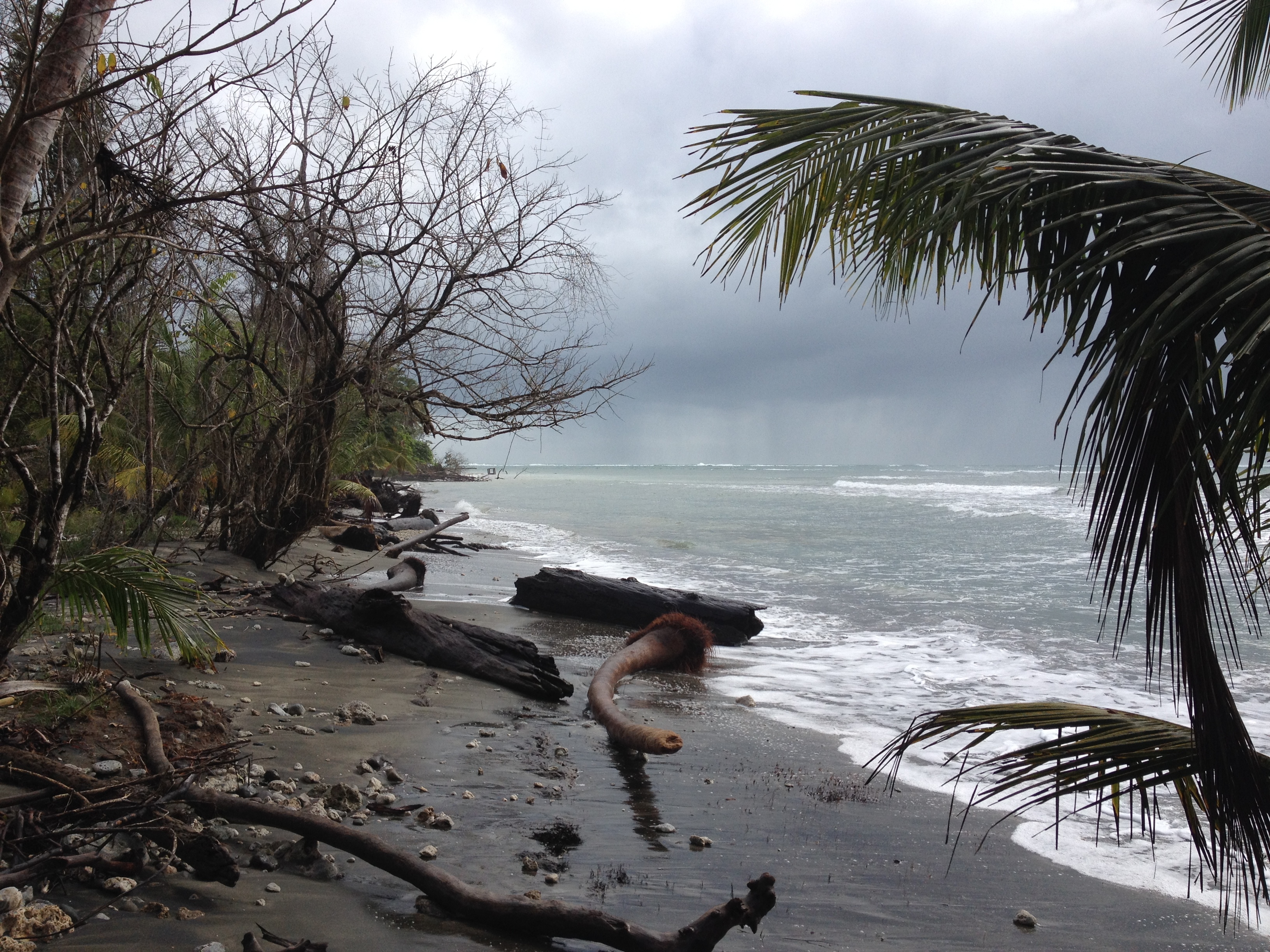 รูปถ่าย คอสตาริกา(Costa Rica) กาอุยตา(Cahuita) 2015-03 143