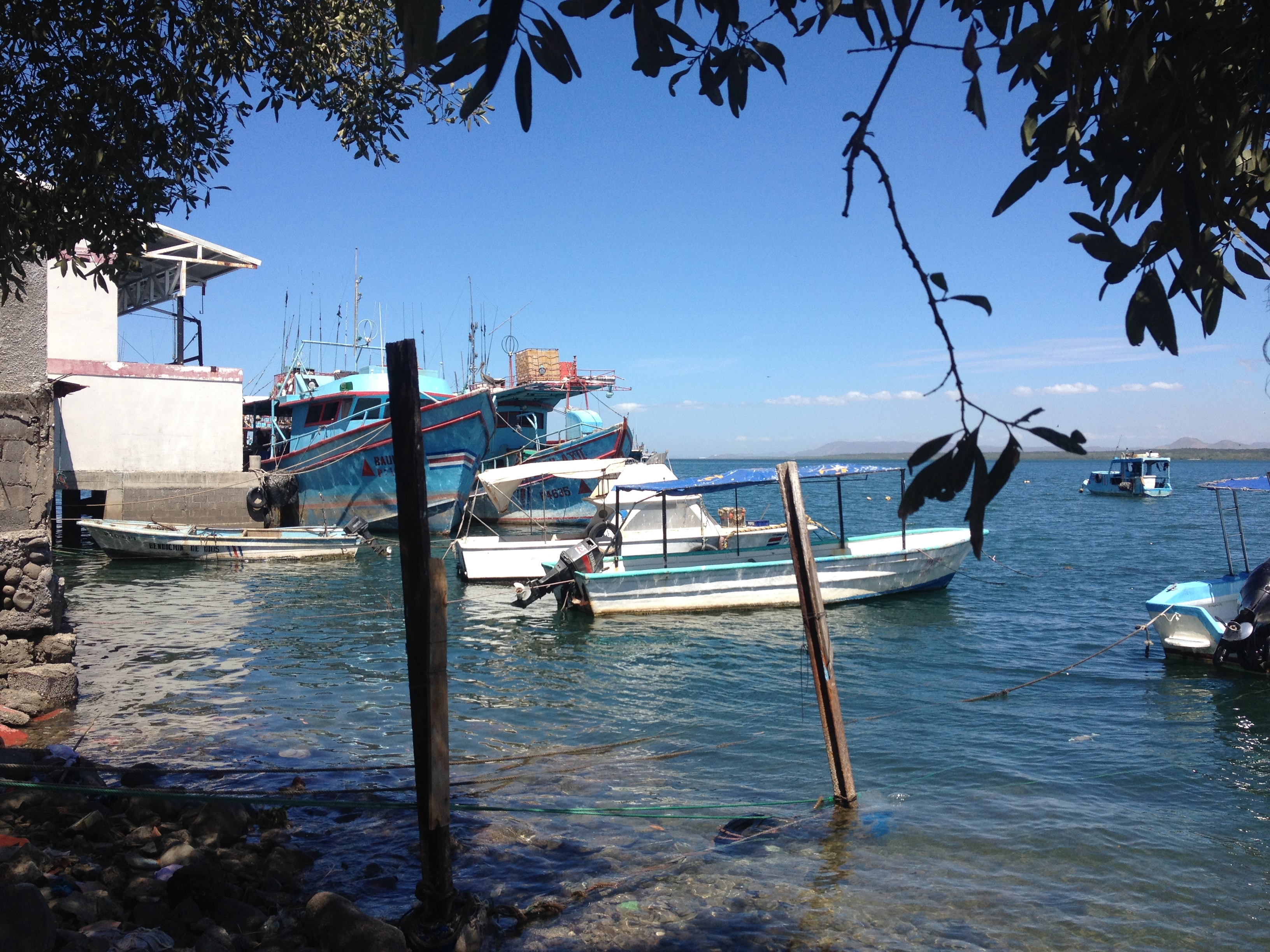 รูปถ่าย คอสตาริกา(Costa Rica) ปุนตาเรนัส(Puntarenas) 2015-03 5