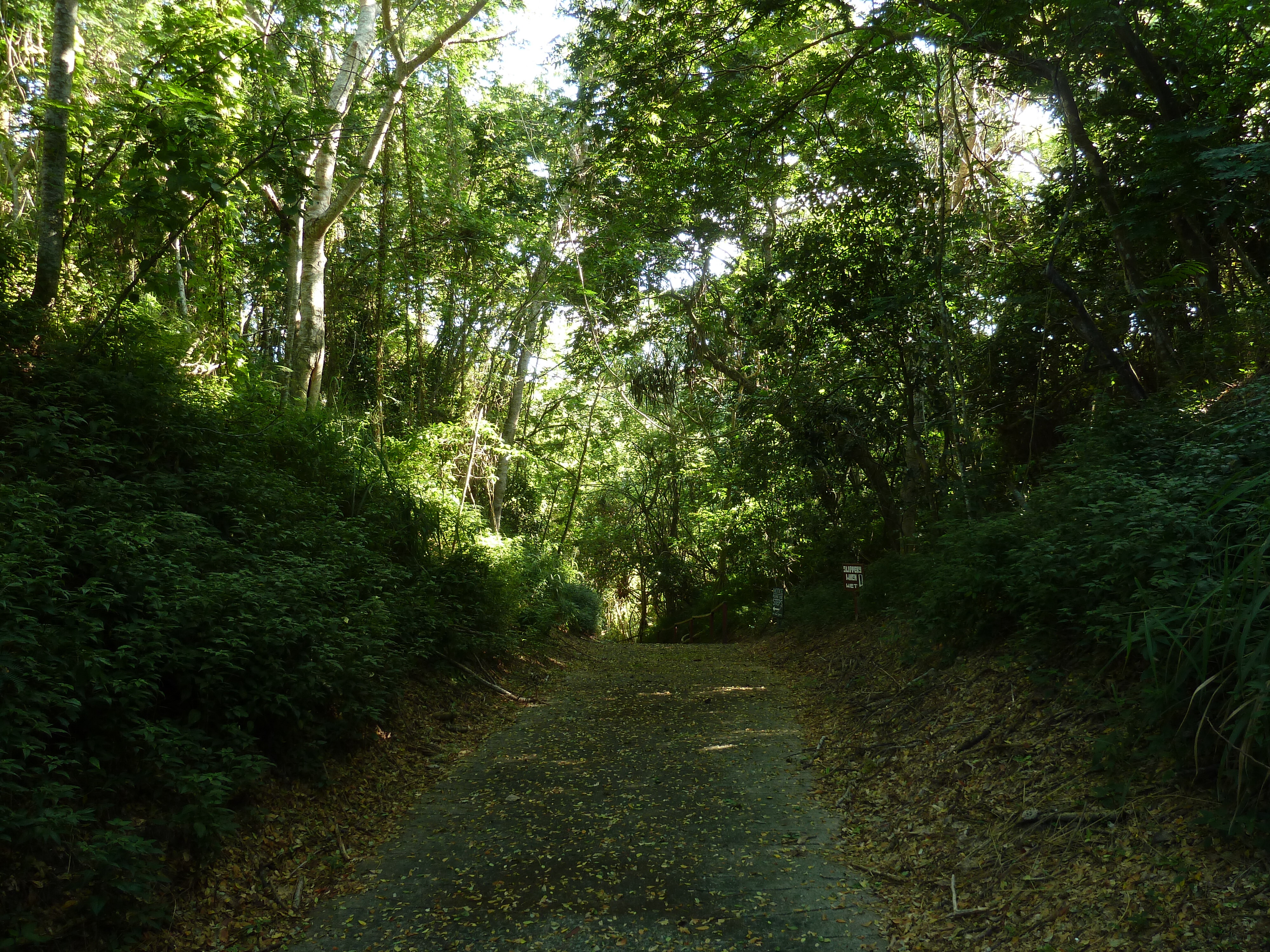 รูปถ่าย ฟิจิ(Fiji) อุทยานแห่งชาติเนินทรายซิงกาโตกา(Sigatoka sand dunes national park) 2010-05 9