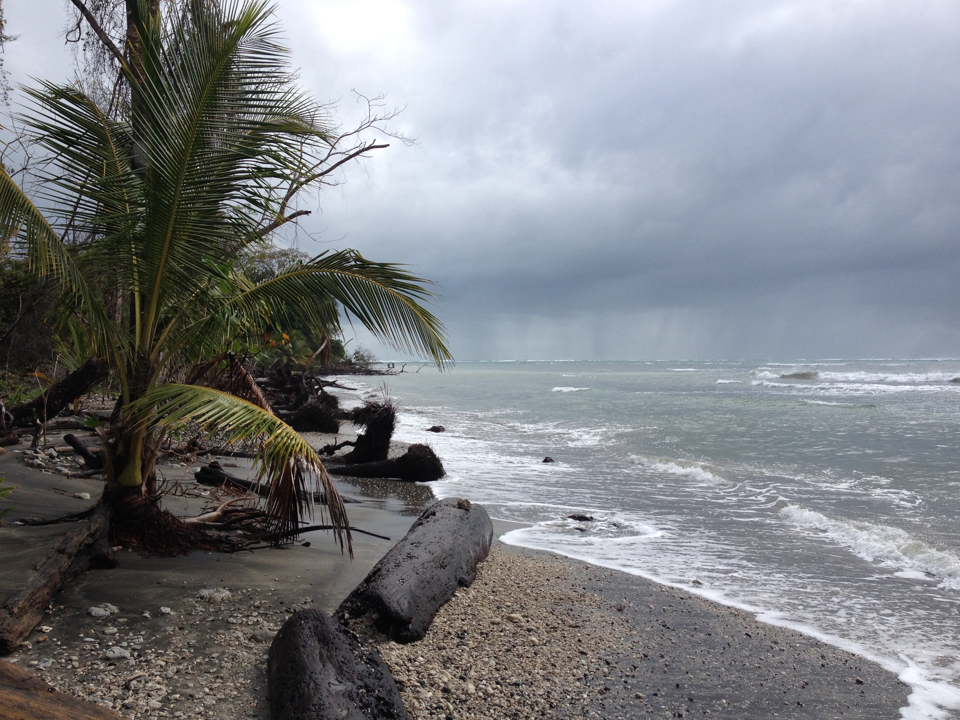 รูปถ่าย คอสตาริกา(Costa Rica) กาอุยตา(Cahuita) 2015-03 148