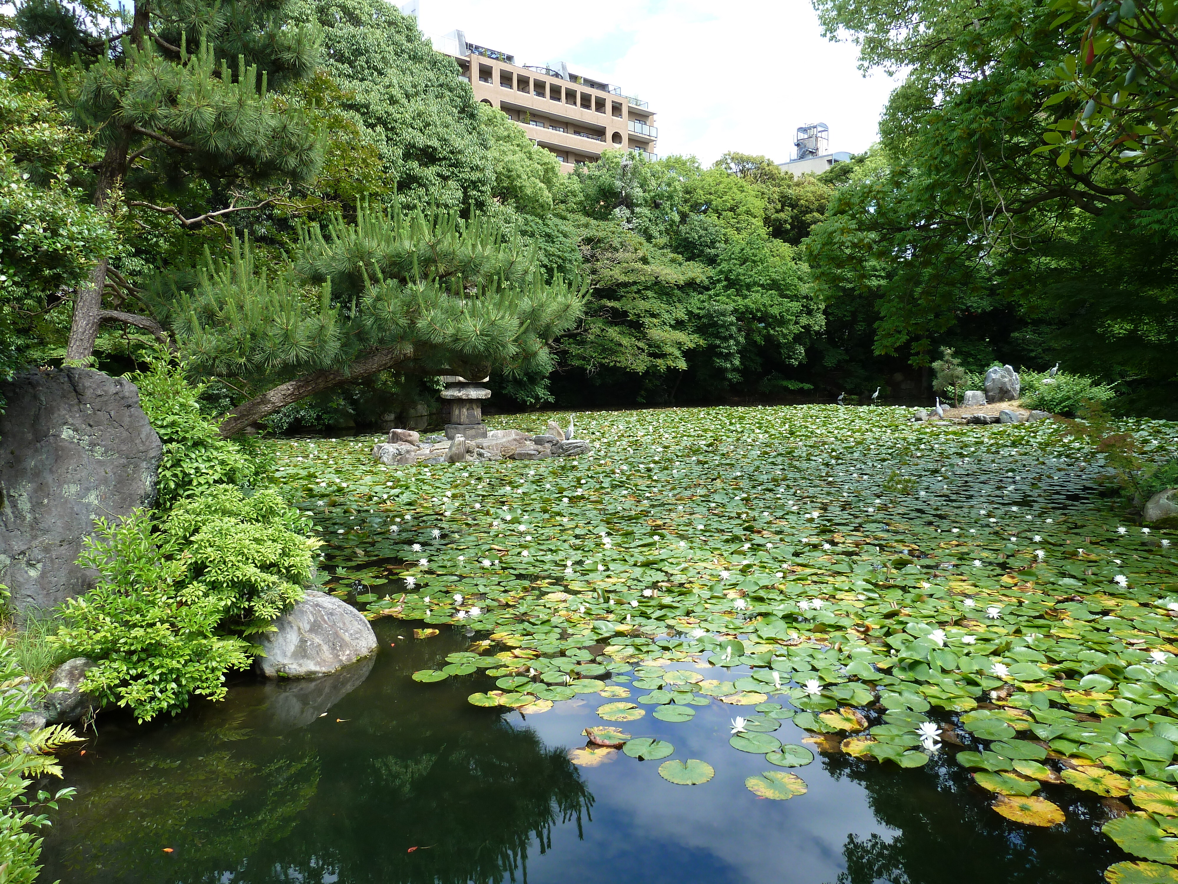 รูปถ่าย ญี่ปุ่น(Japan) เกียวโต(Kyoto) สวนโชเซเอ็ง(Shosei en Garden) 2010-06 68