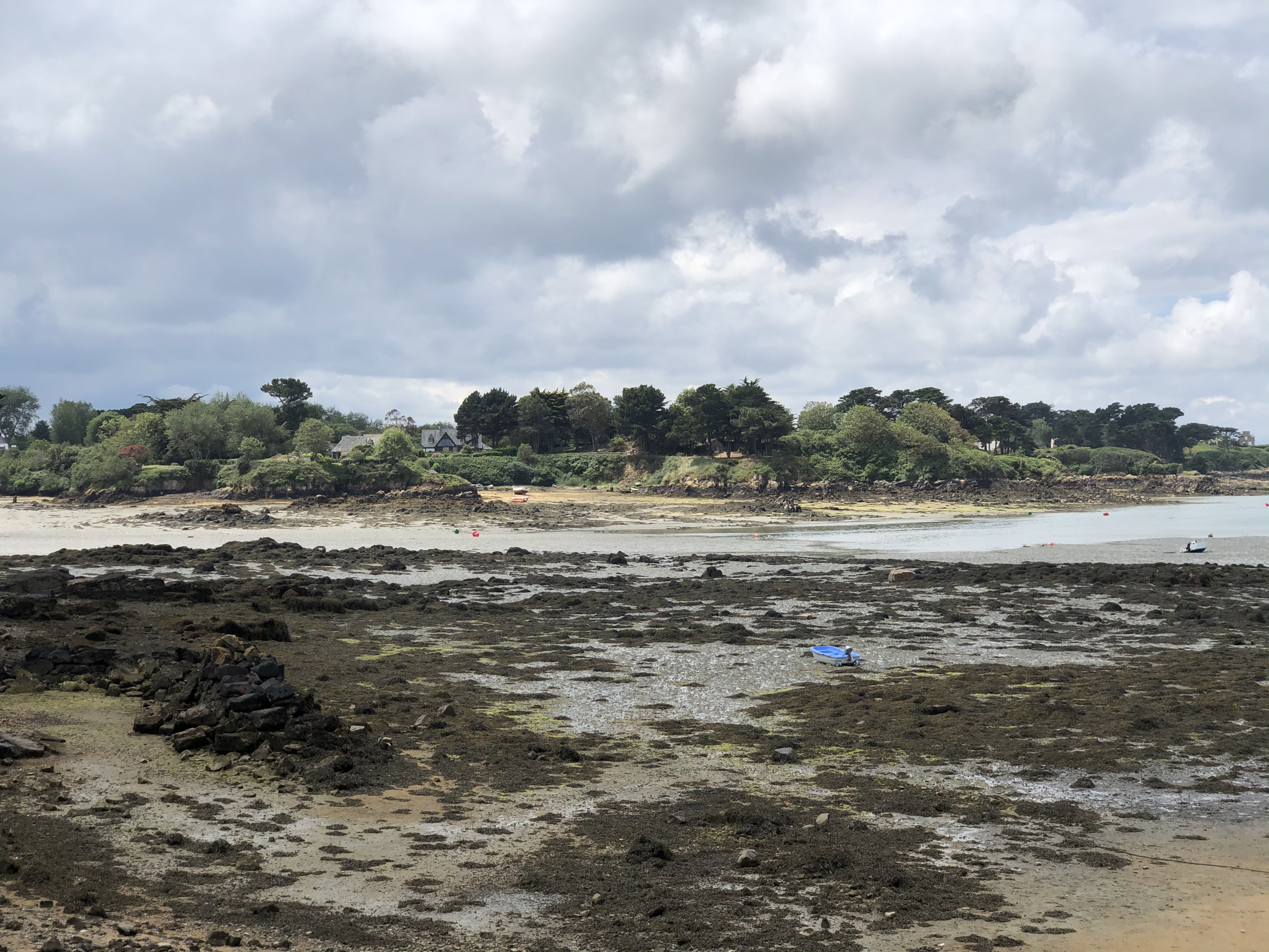 รูปถ่าย ฝรั่งเศส(France) เกาะเบรอา(Brehat Island) 2020-06 246