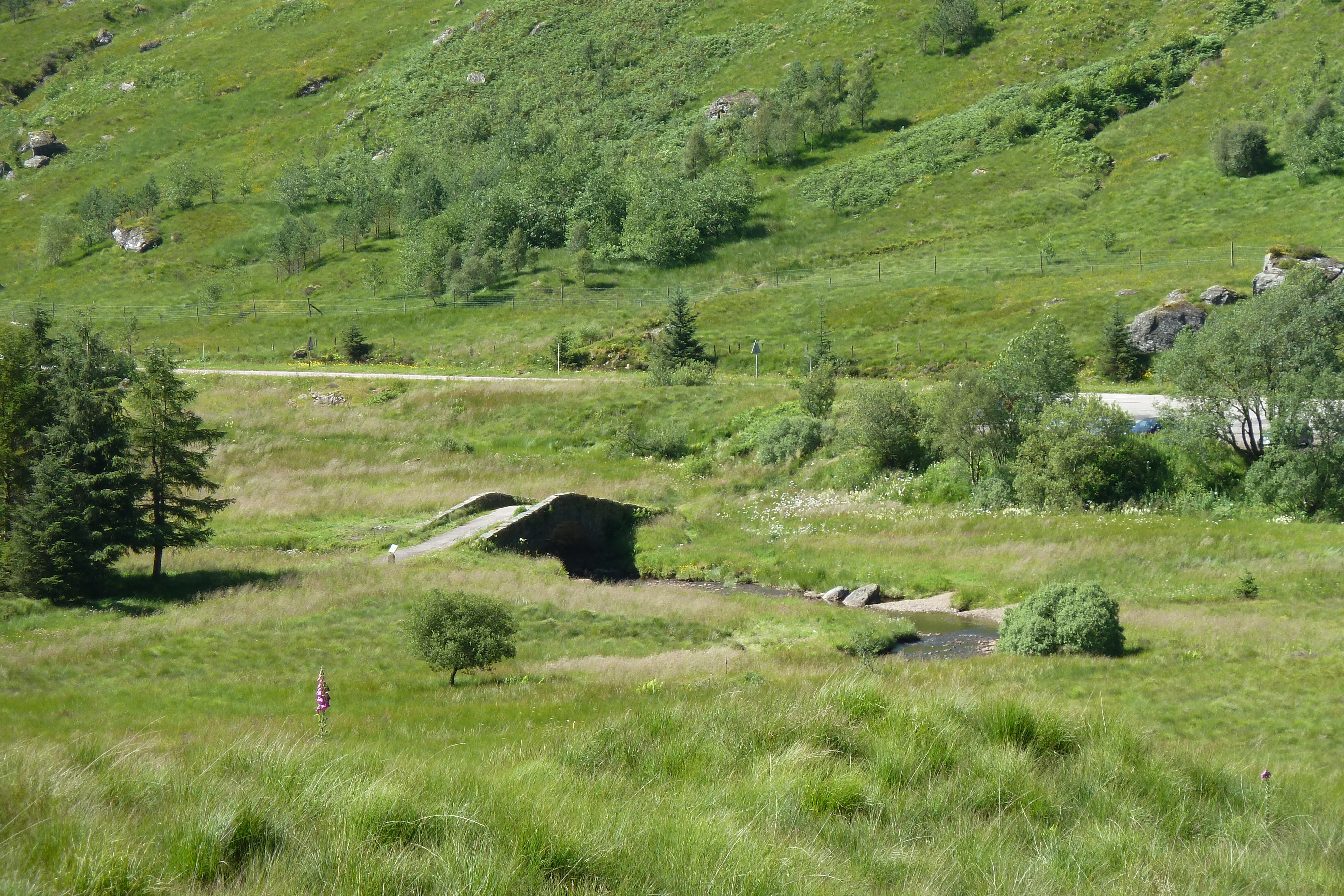 รูปถ่าย อังกฤษ(United Kingdom) สกอตแลนด์(Scotland) ทะเลสาบลอคลินนี(Loch Linnhe) 2011-07 86