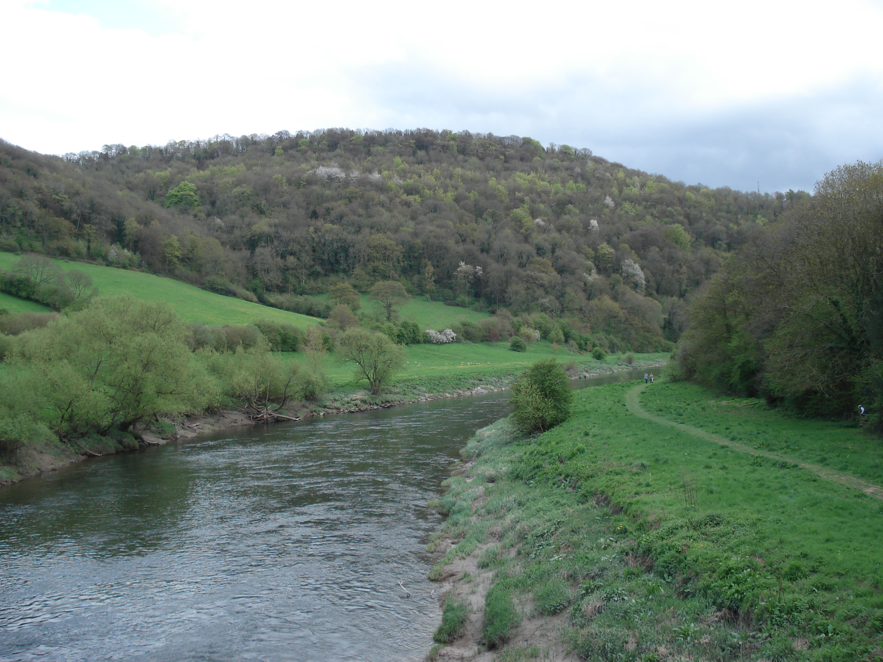 รูปถ่าย อังกฤษ(United Kingdom) หุบเขาไวย์(Wye Valley) 2006-05 28