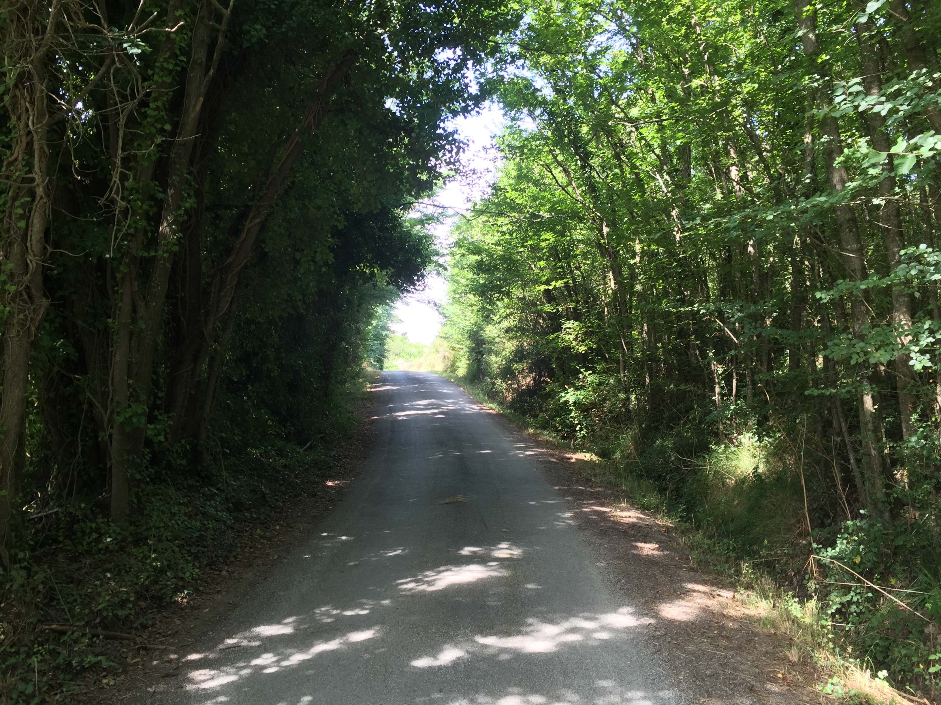 รูปถ่าย ฝรั่งเศส(France) เกาะแบล-อีล(Belle-Ile) 2016-08 176