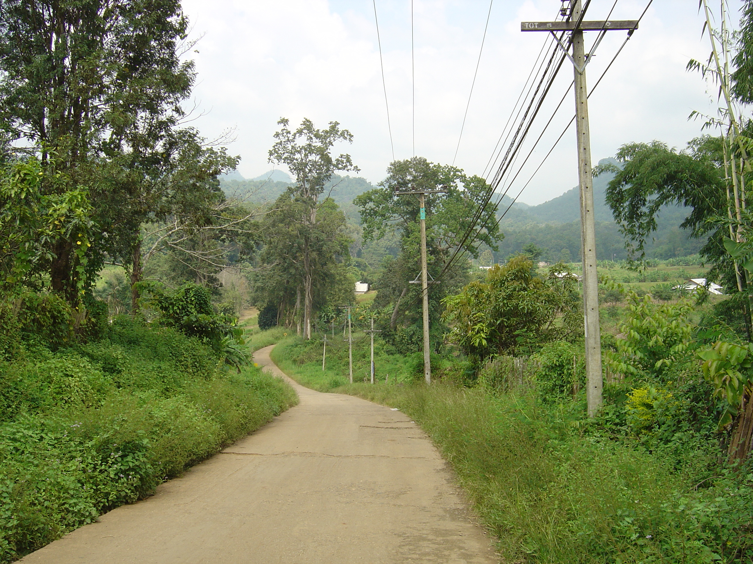 รูปถ่าย ไทย(Thailand) แม่ฮ่องสอน(Mae Hong Son) 2004-10 4