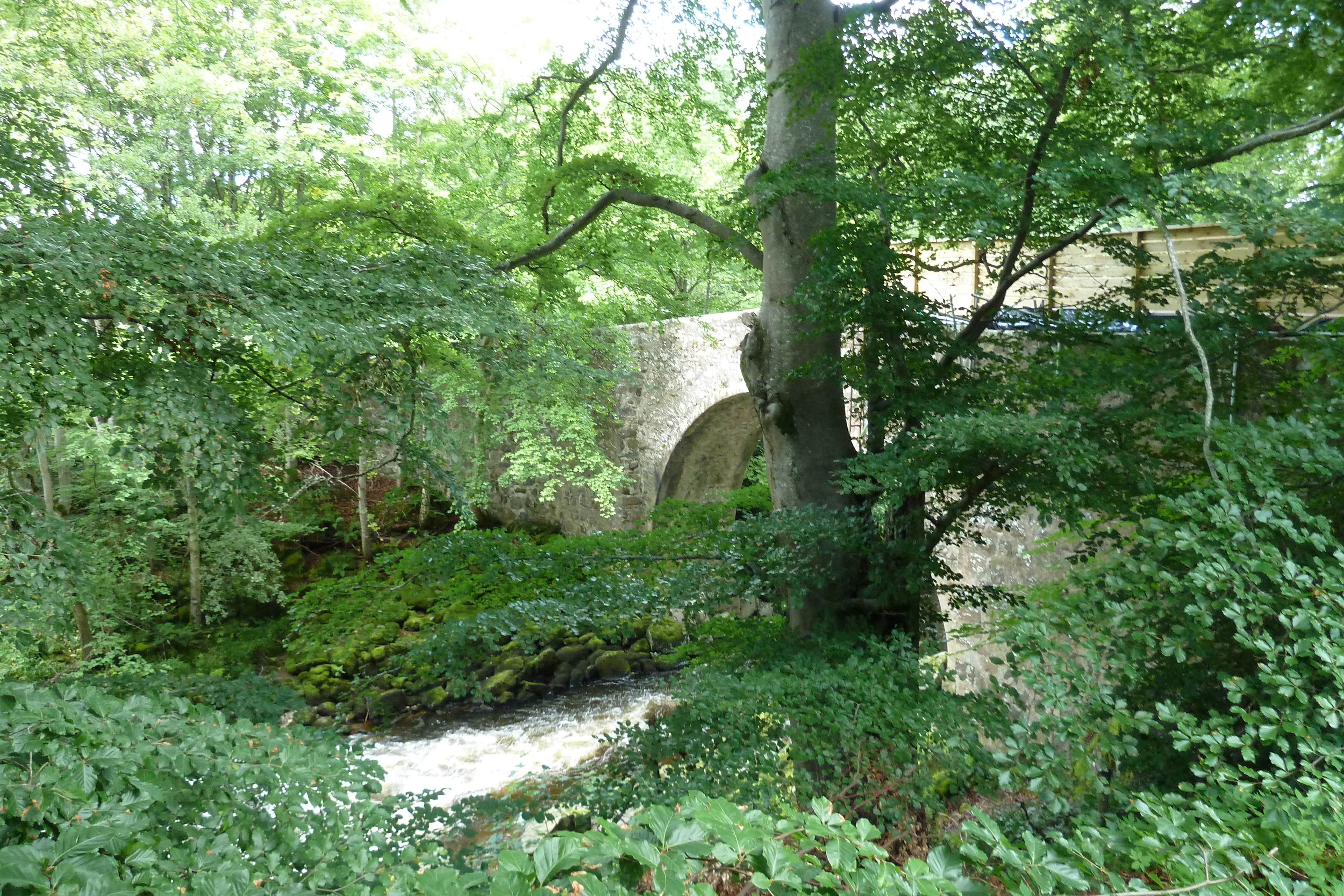 รูปถ่าย อังกฤษ(United Kingdom) สกอตแลนด์(Scotland) ฮันต์ลี(Huntly) 2011-07 15