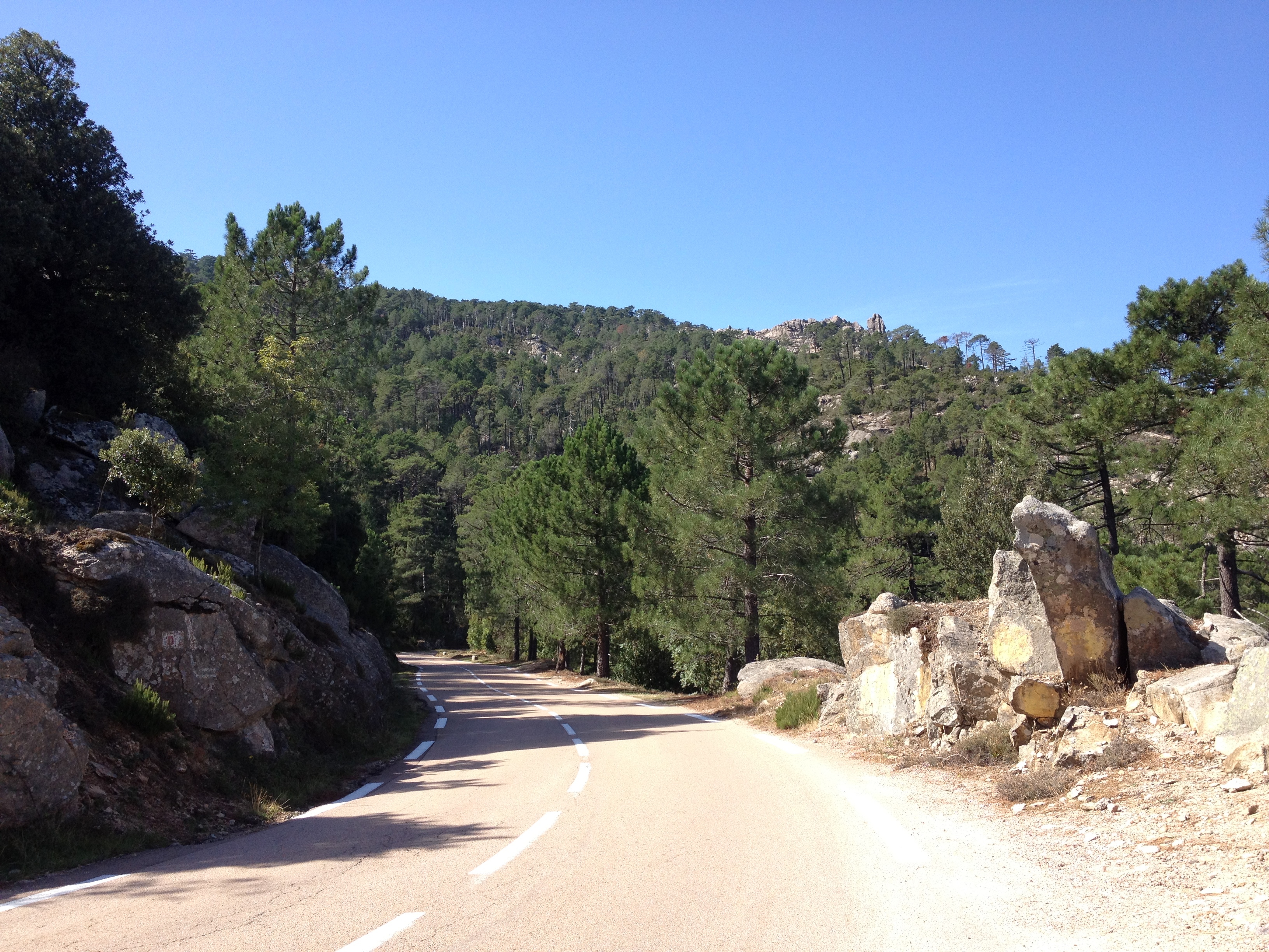 รูปถ่าย ฝรั่งเศส(France) คอร์สิคา(Corsica) ป่าลอสเปดาเล(L'ospedale Forest) 2012-09 18