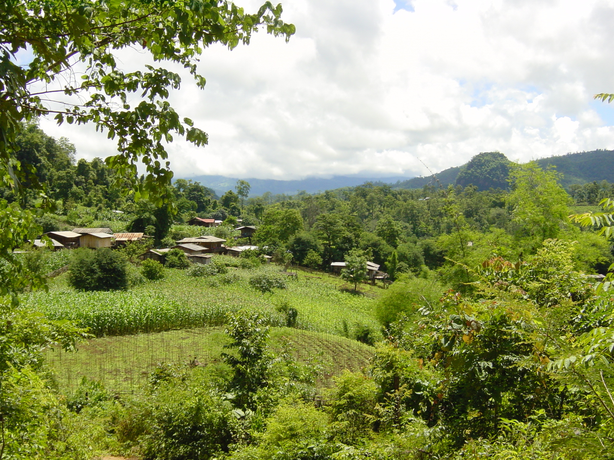 รูปถ่าย ไทย(Thailand) แม่ฮ่องสอน(Mae Hong Son) 2003-07 45