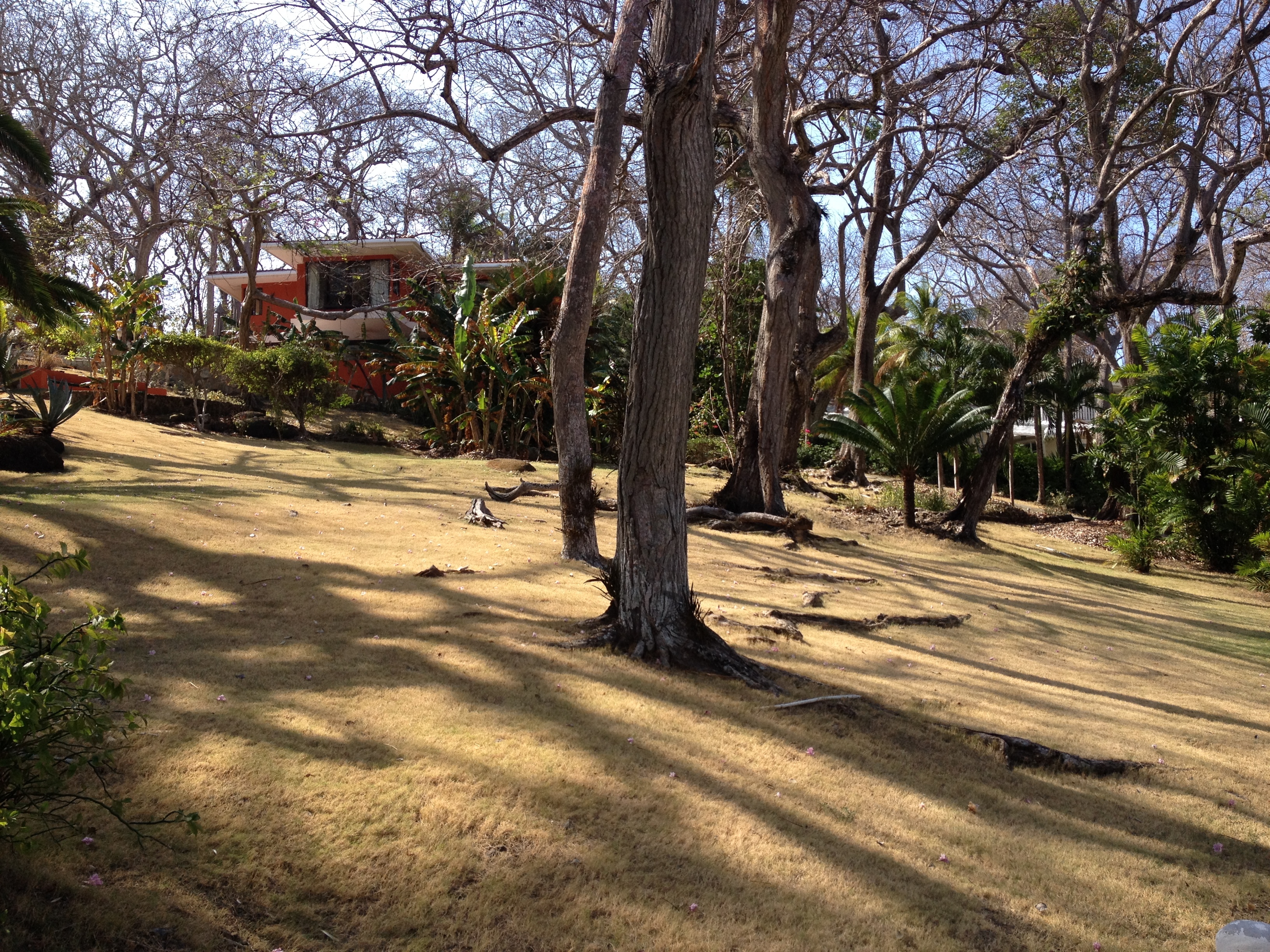 รูปถ่าย ปานามา(Panama) เกาะคอนตาโดรา(Contadora Island) 2015-03 163