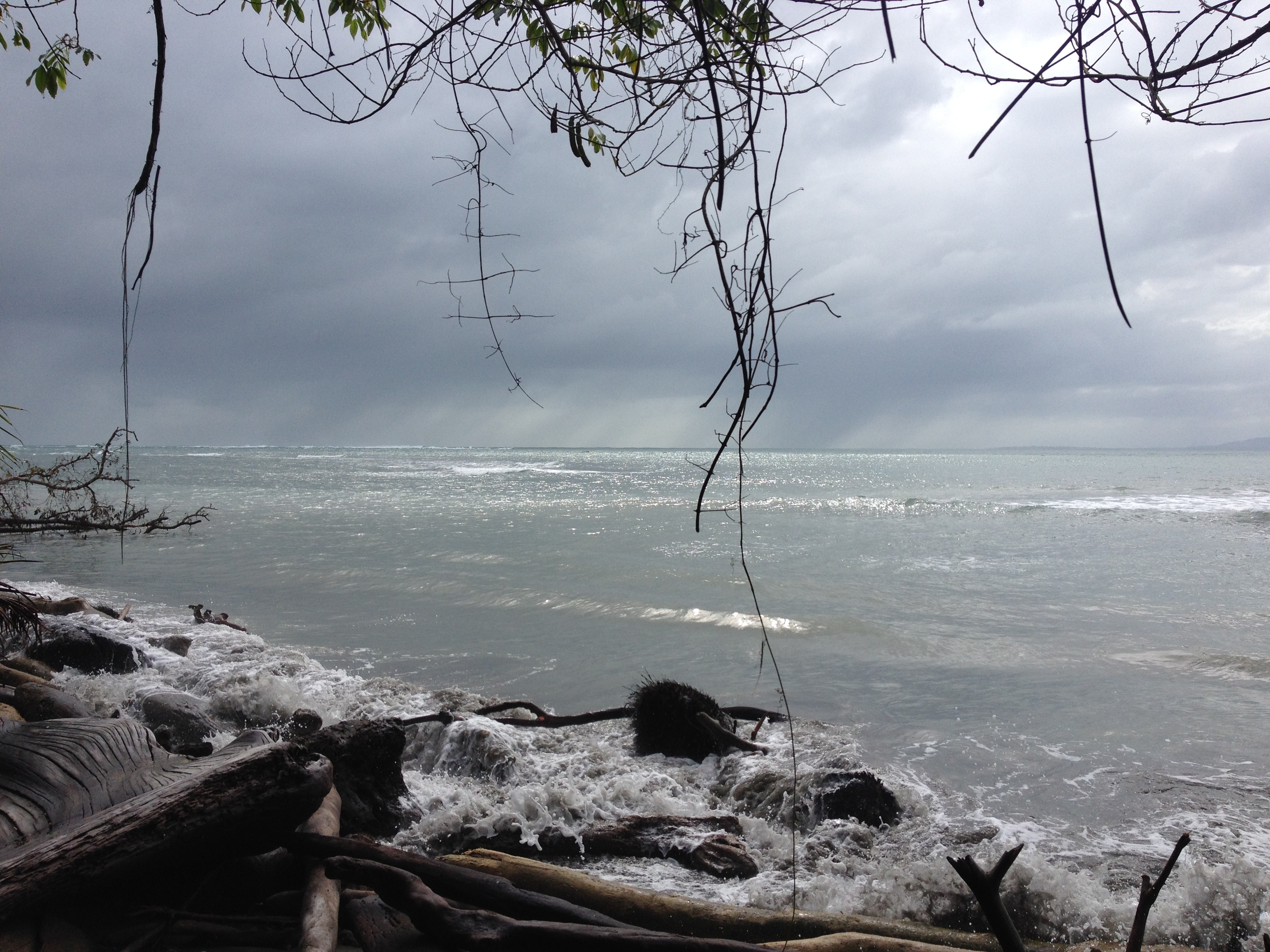 รูปถ่าย คอสตาริกา(Costa Rica) กาอุยตา(Cahuita) 2015-03 84