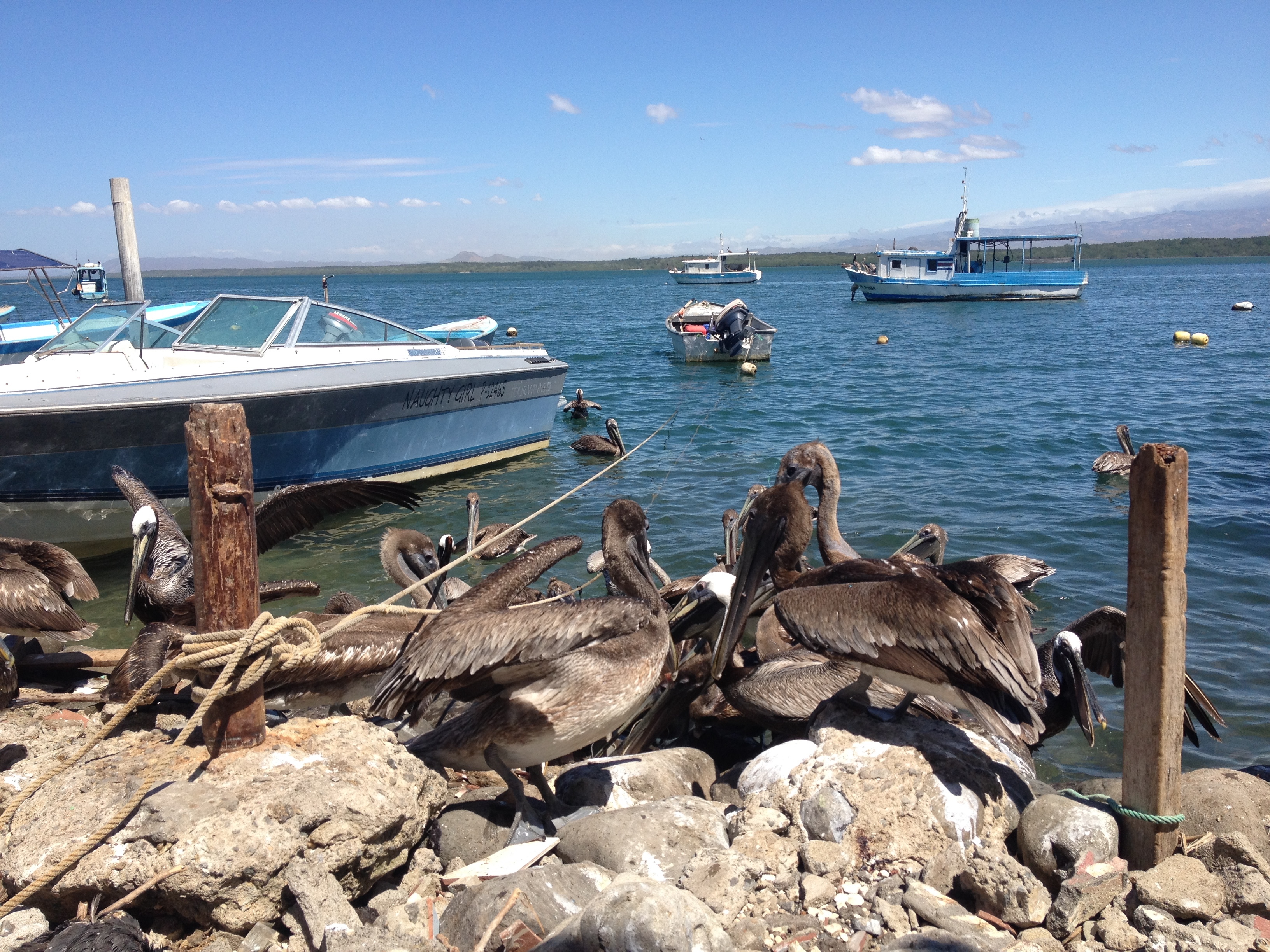 รูปถ่าย คอสตาริกา(Costa Rica) ปุนตาเรนัส(Puntarenas) 2015-03 71