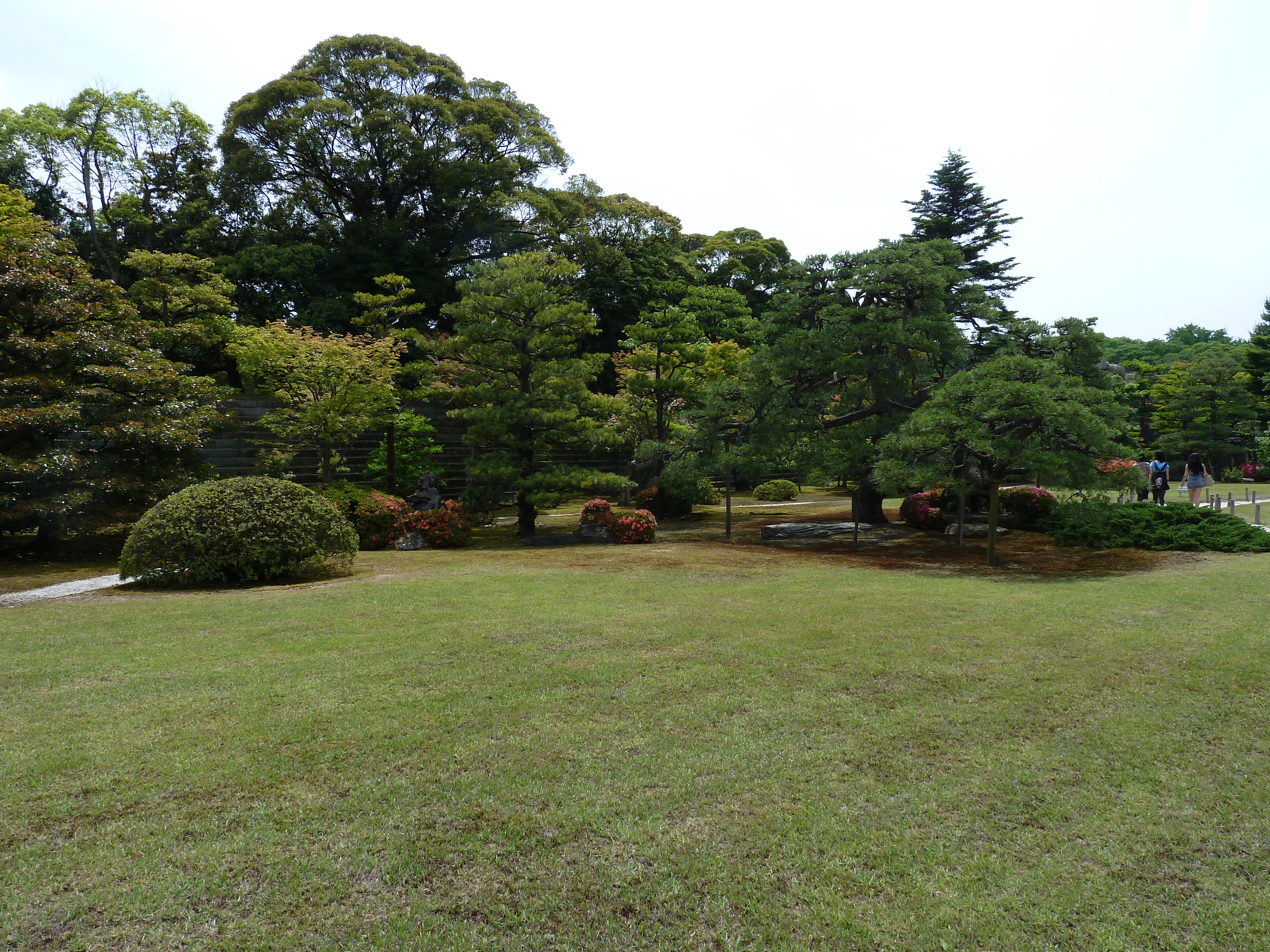 รูปถ่าย ญี่ปุ่น(Japan) เกียวโต(Kyoto) ปราสาทนิโจ(Nijo Castle) พระราชวังฮมมะรุ(Honmaru Palace) 2010-06 29