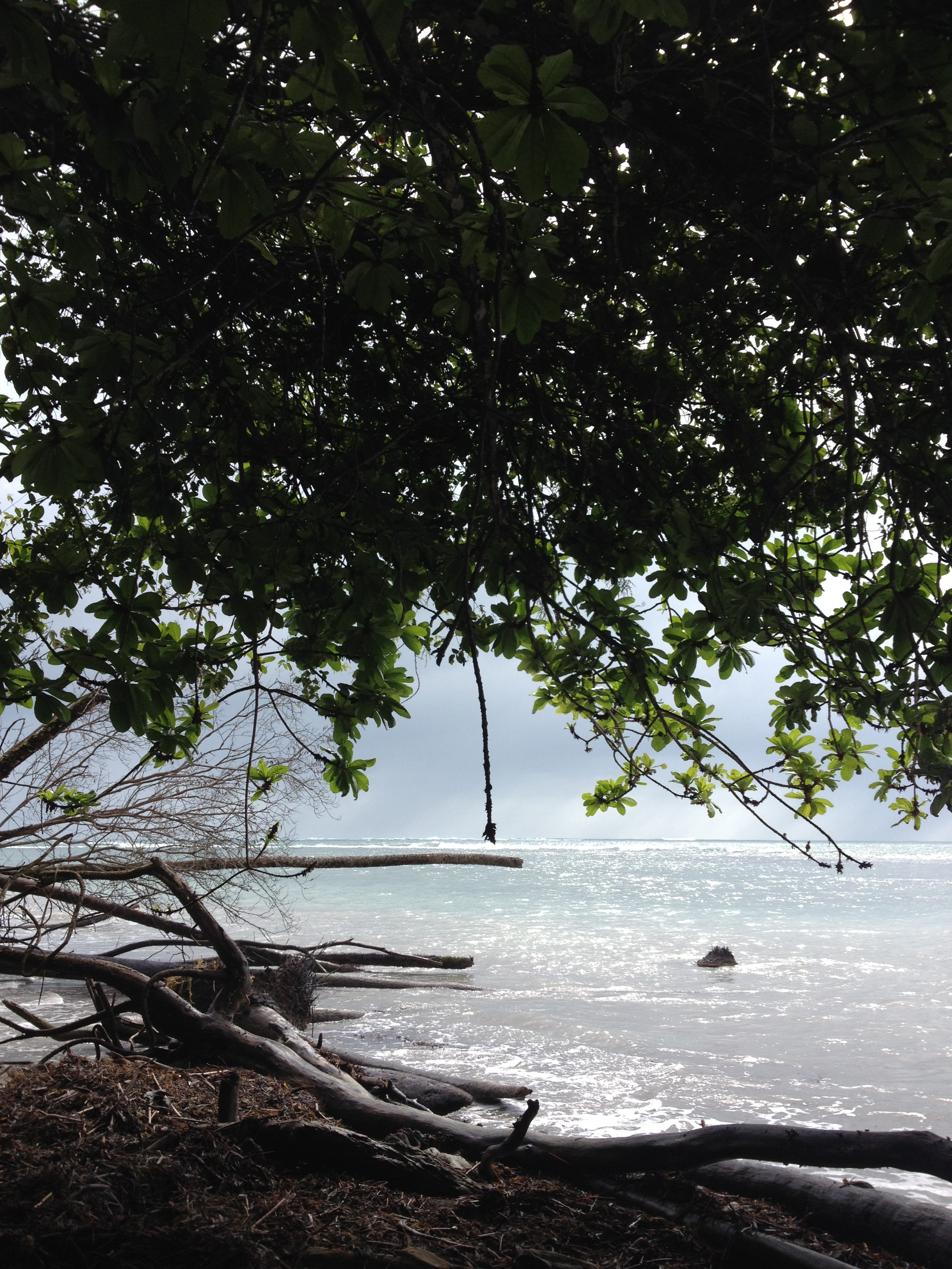 รูปถ่าย คอสตาริกา(Costa Rica) กาอุยตา(Cahuita) 2015-03 104
