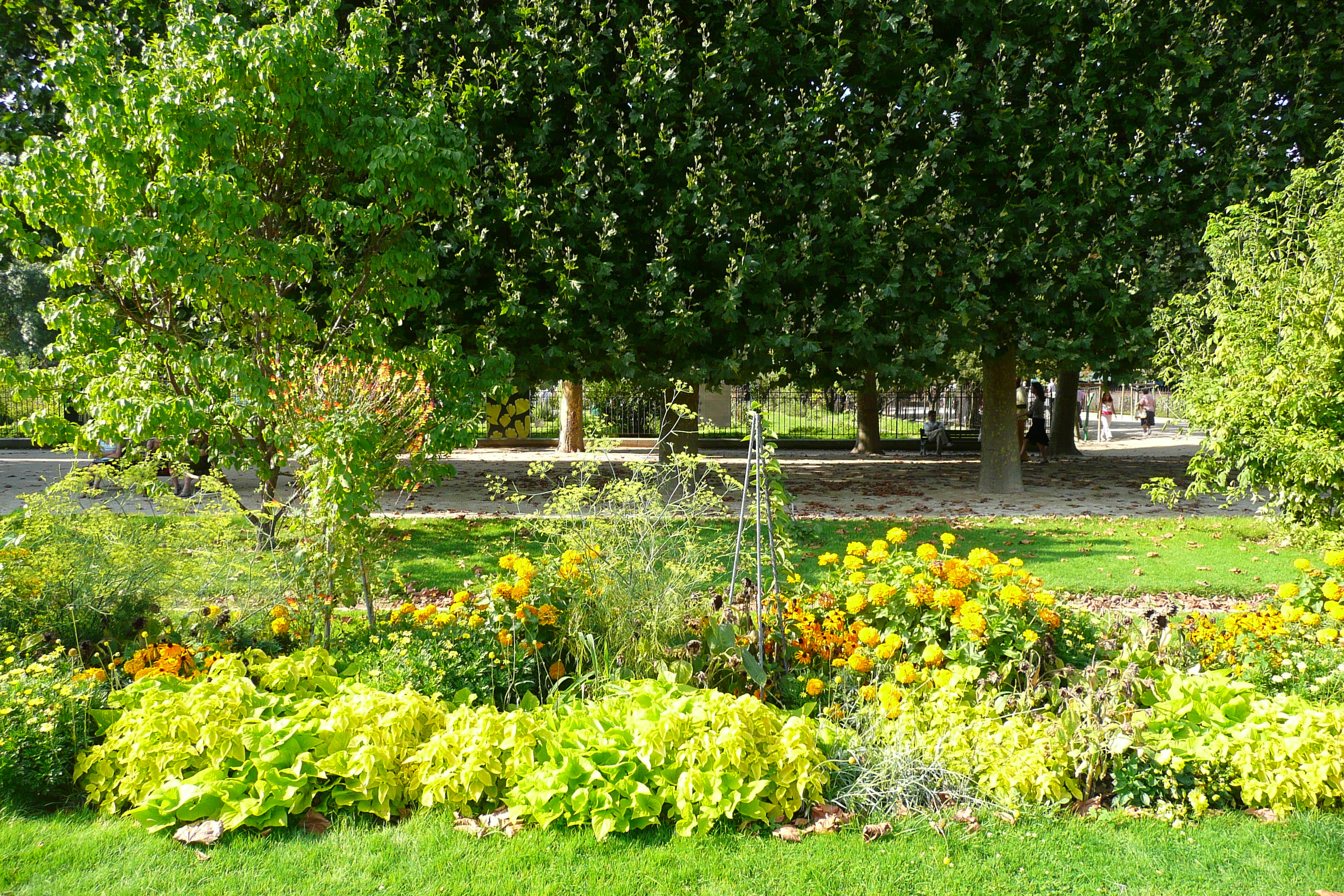 รูปถ่าย ฝรั่งเศส(France) ปารีส(Paris) สวนพันธ์ุพืช(Jardin des Plantes) 2007-08 172