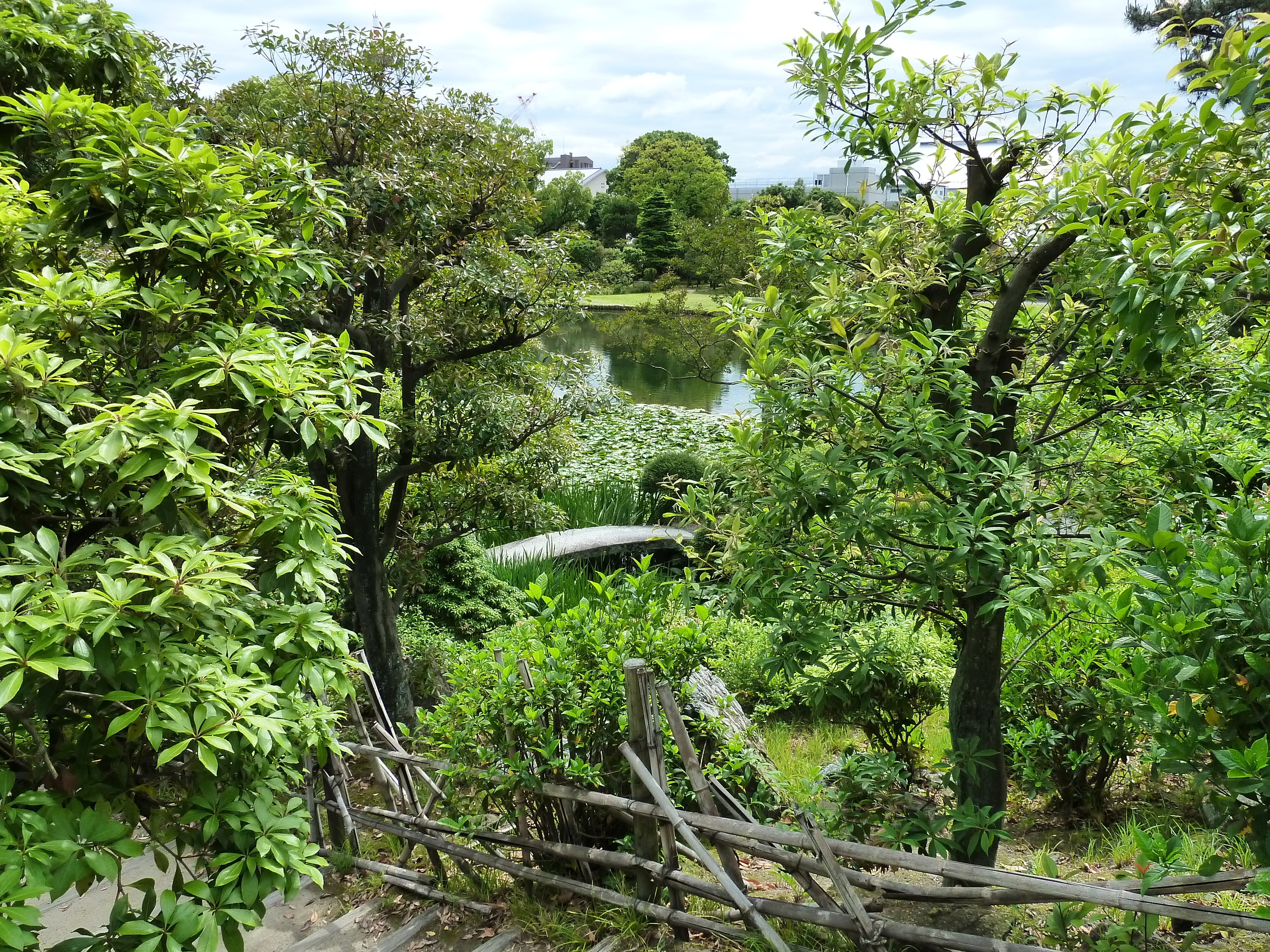 รูปถ่าย ญี่ปุ่น(Japan) เกียวโต(Kyoto) สวนโชเซเอ็ง(Shosei en Garden) 2010-06 34