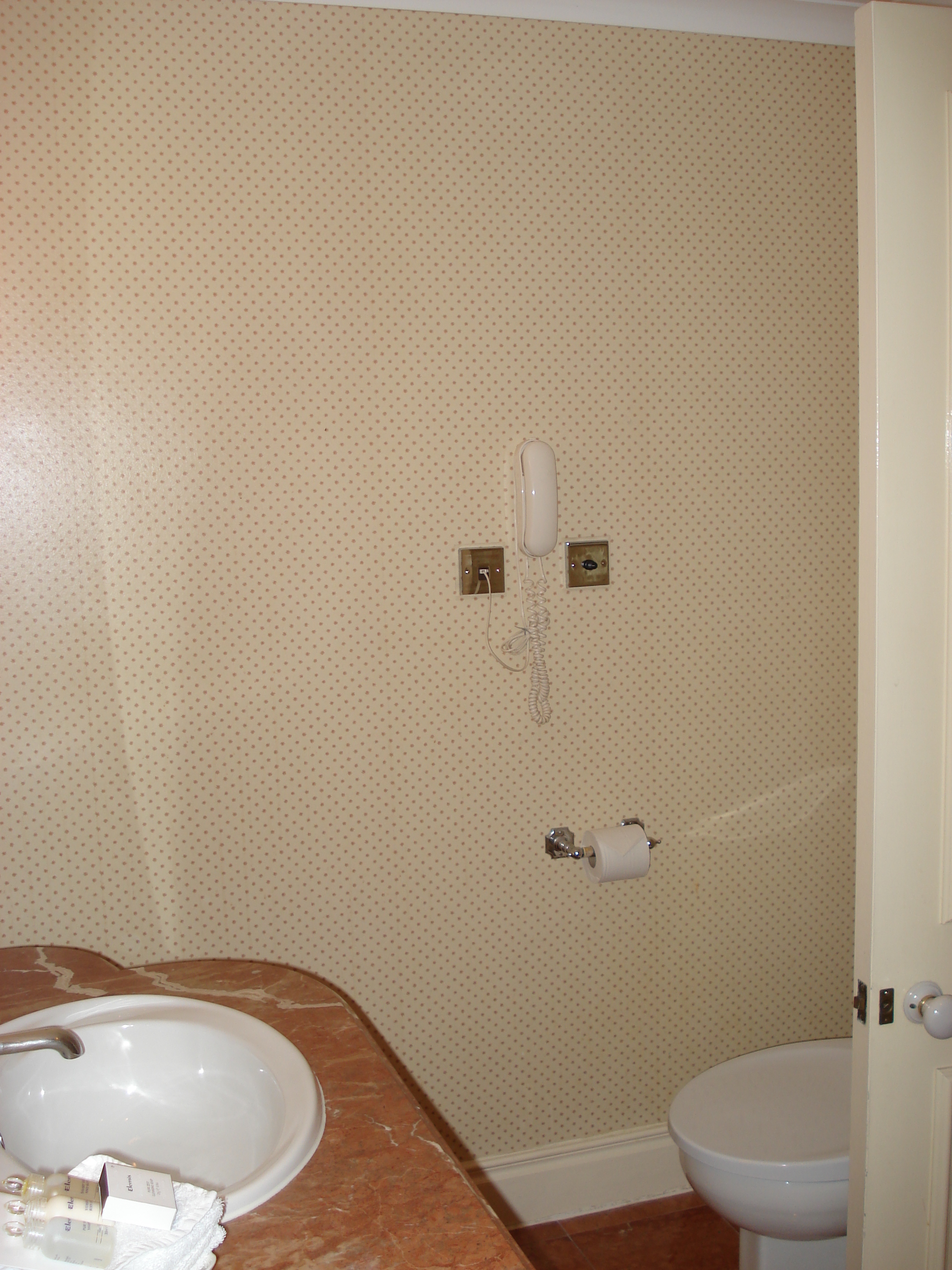 รูปถ่าย อังกฤษ(United Kingdom) วิมเบลดัน(Wimbledon) โรงแรมแคนนิซาโรเฮาส์(Cannizaro House Hotel) 2006-10 9