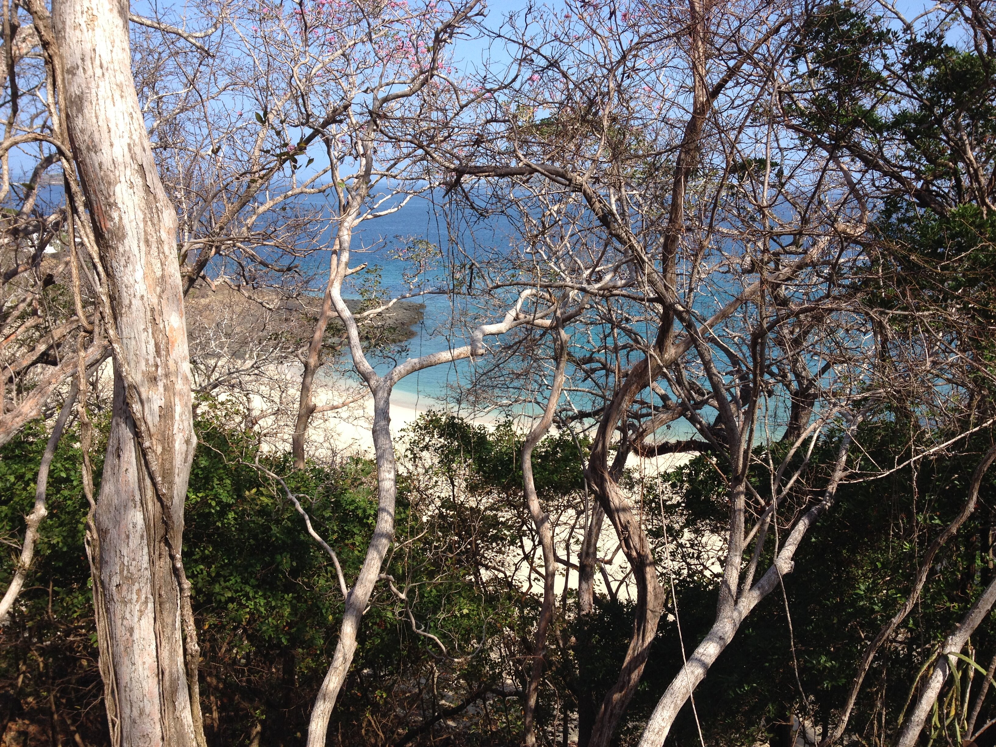 รูปถ่าย ปานามา(Panama) เกาะคอนตาโดรา(Contadora Island) 2015-03 28
