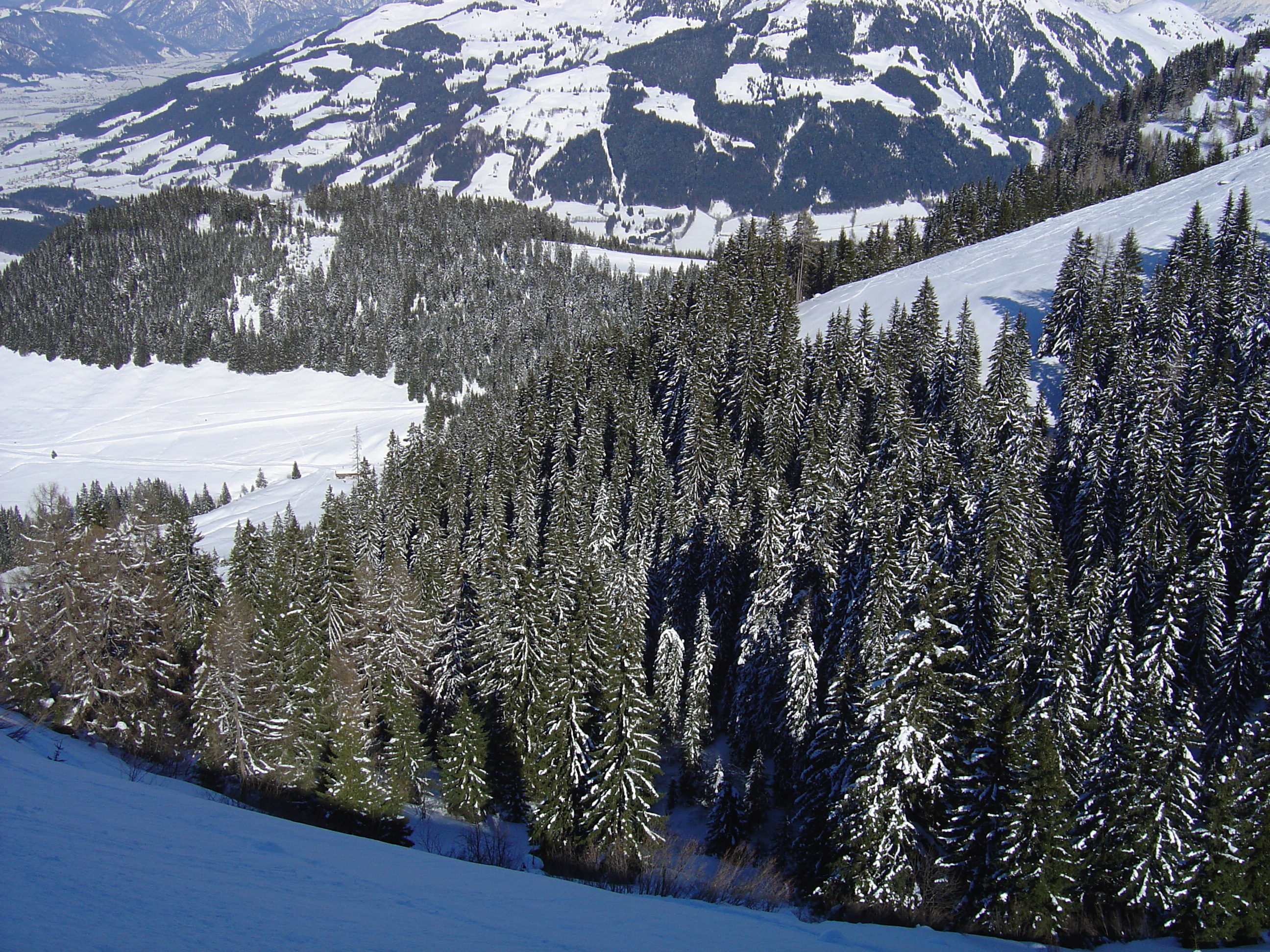 รูปถ่าย ออสเตรีย(Austria) คิทซ์บูเฮล(Kitzbuhel) สกี(Ski) 2005-03 26