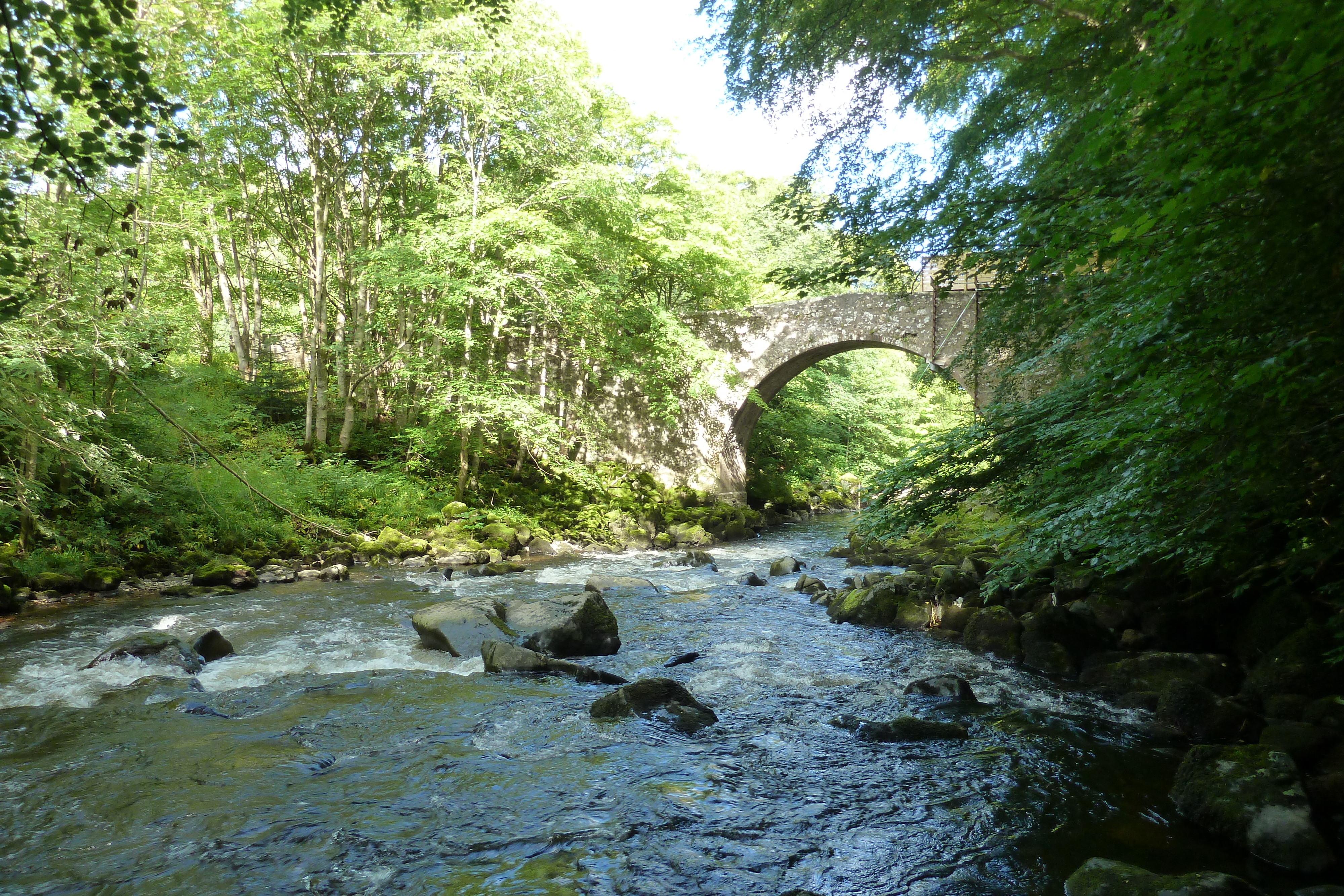 รูปถ่าย อังกฤษ(United Kingdom) สกอตแลนด์(Scotland) ฮันต์ลี(Huntly) 2011-07 8