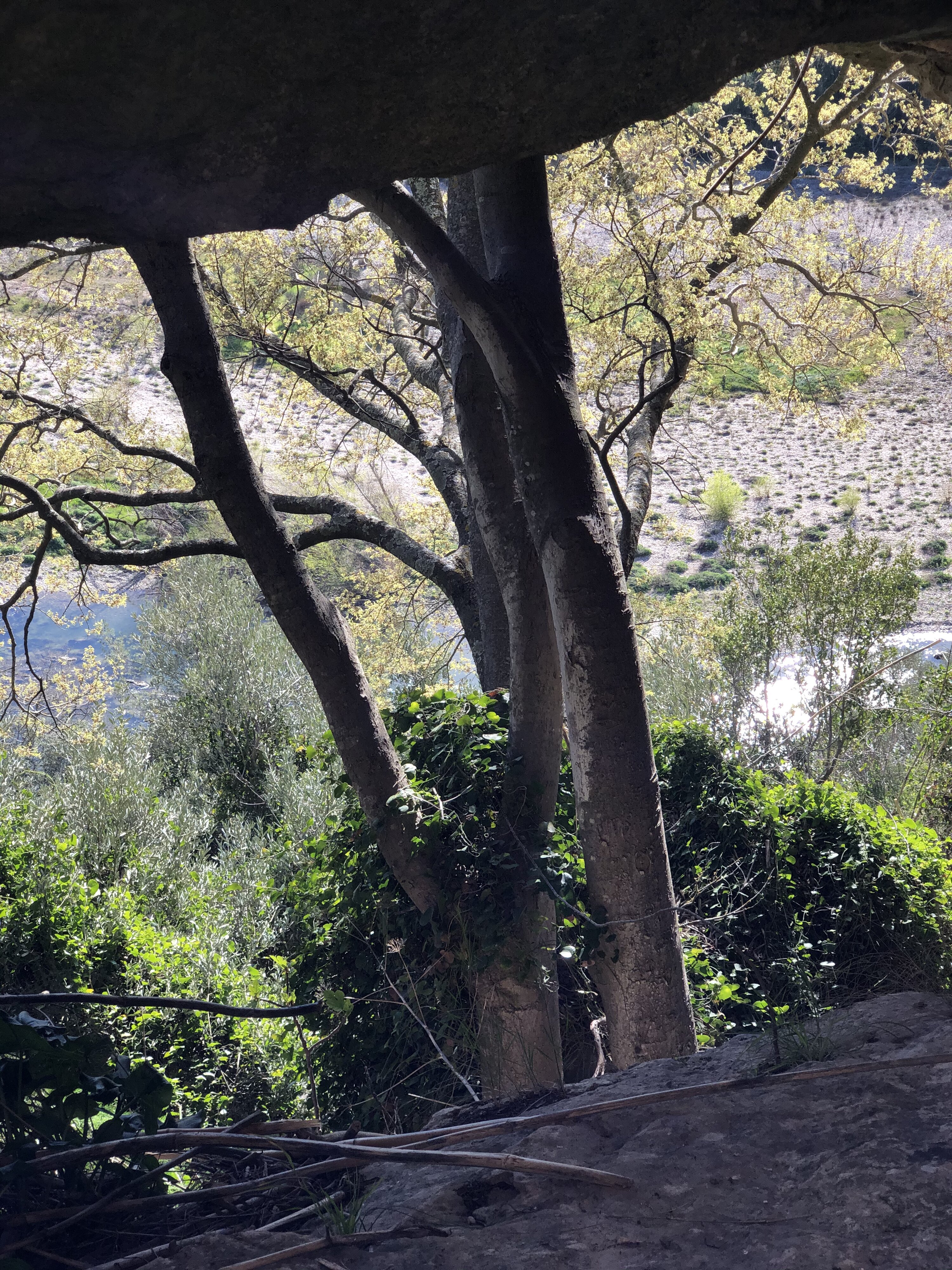 รูปถ่าย ฝรั่งเศส(France) นีเมอ(Nimes) 2021-05 55