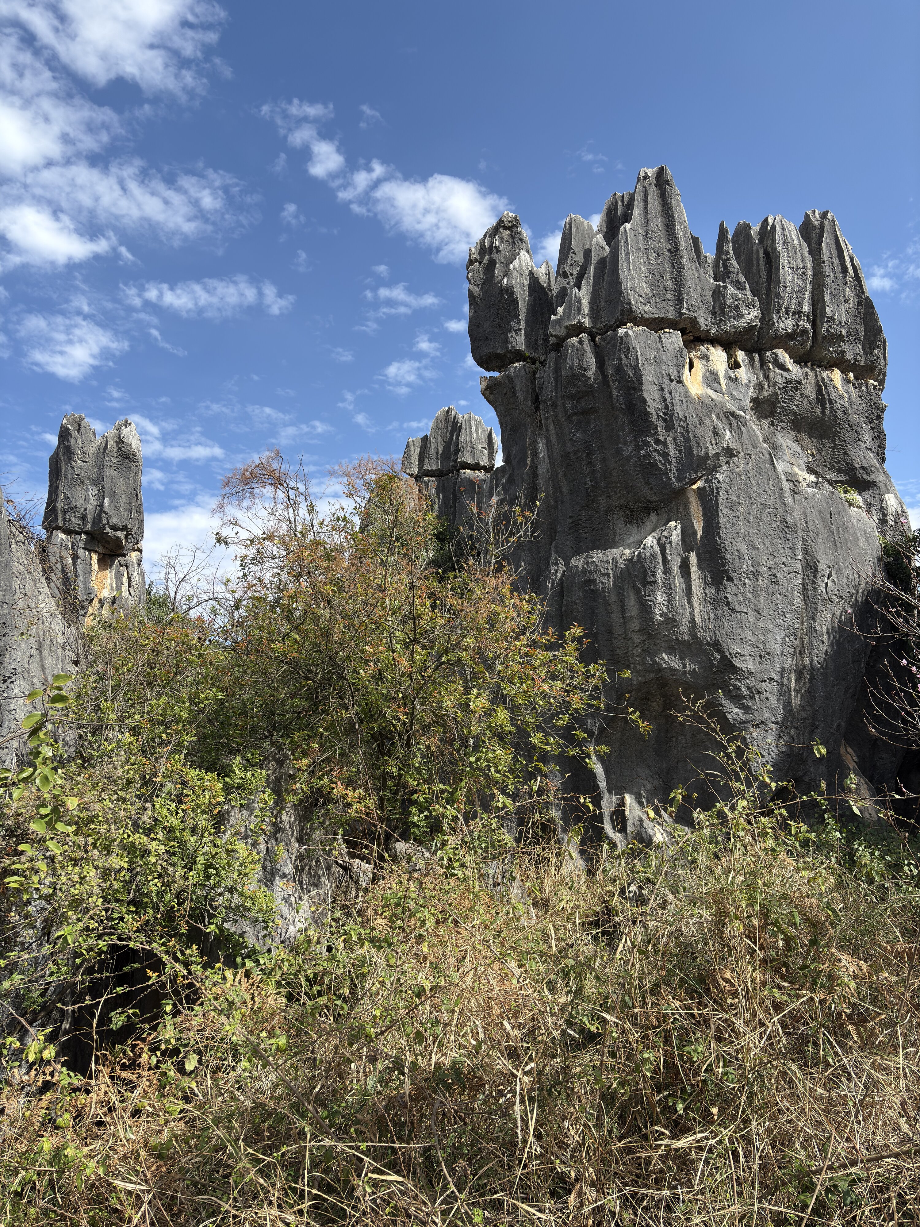รูปถ่าย จีน(China) ป่าหินสือหลิน(Shilin Stone Forest) 2026-01 320