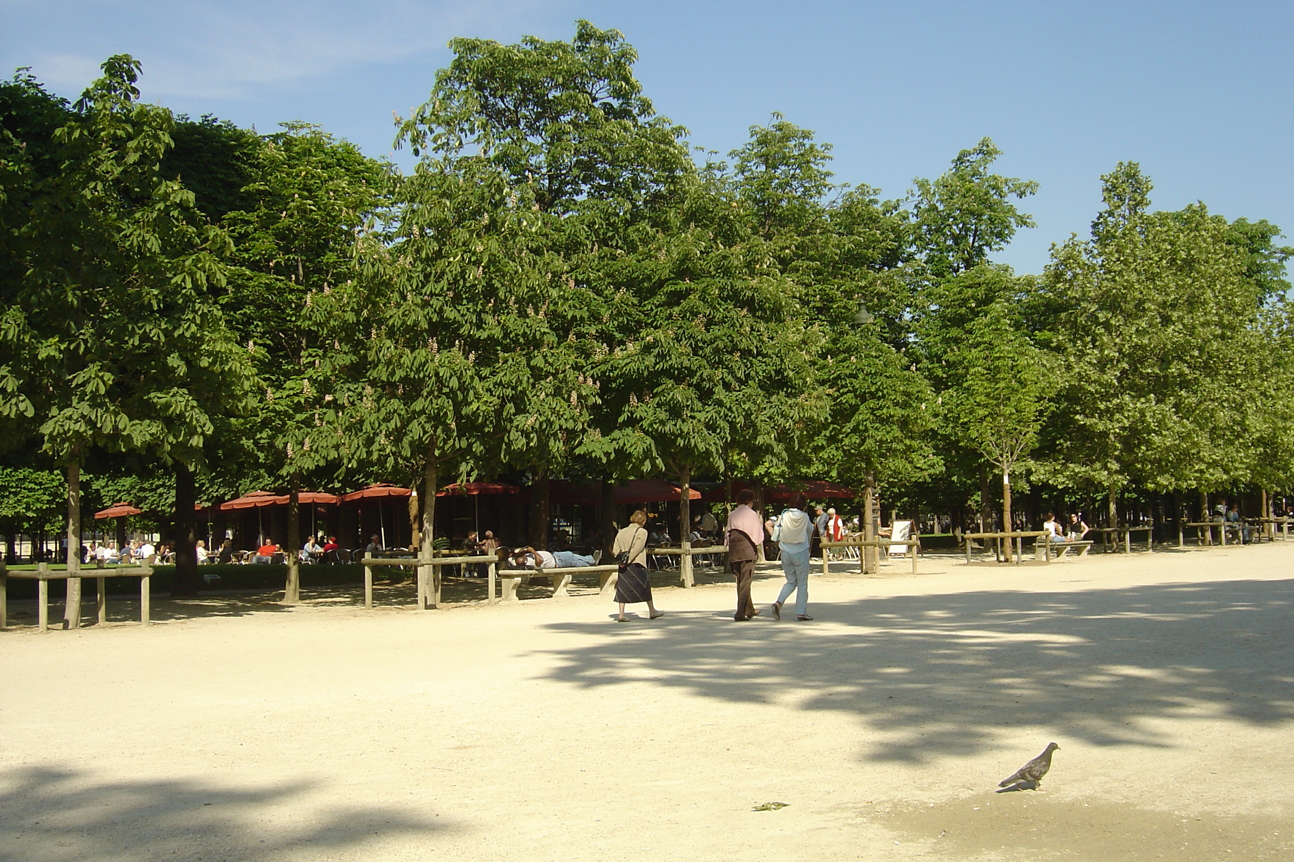รูปถ่าย ฝรั่งเศส(France) ปารีส(Paris) สวนตุยเลอรี(Garden of Tuileries) 2007-05 175