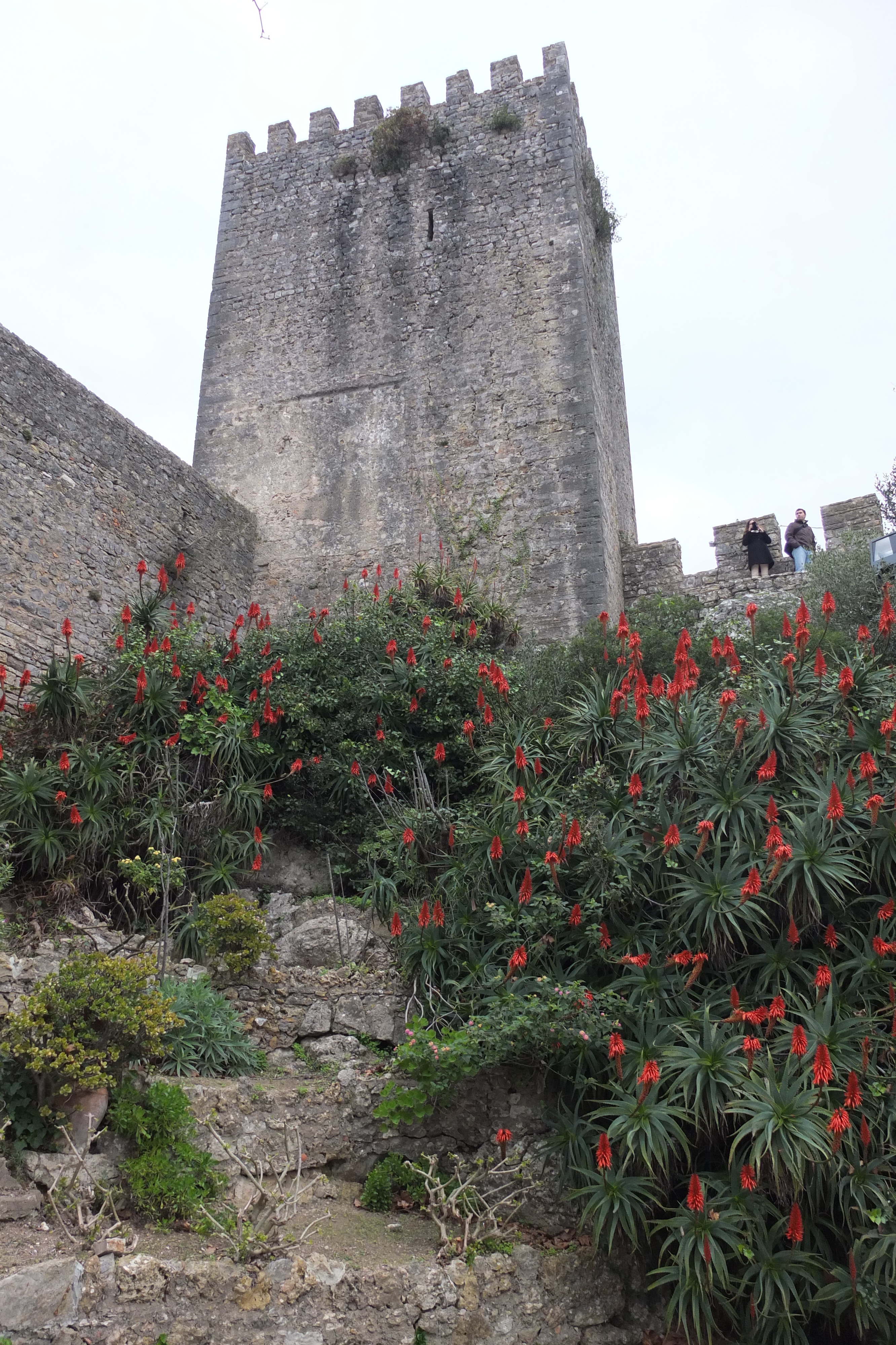 รูปถ่าย โปรตุเกส(Portugal) โอบีโดส(Obidos) 2013-01 28