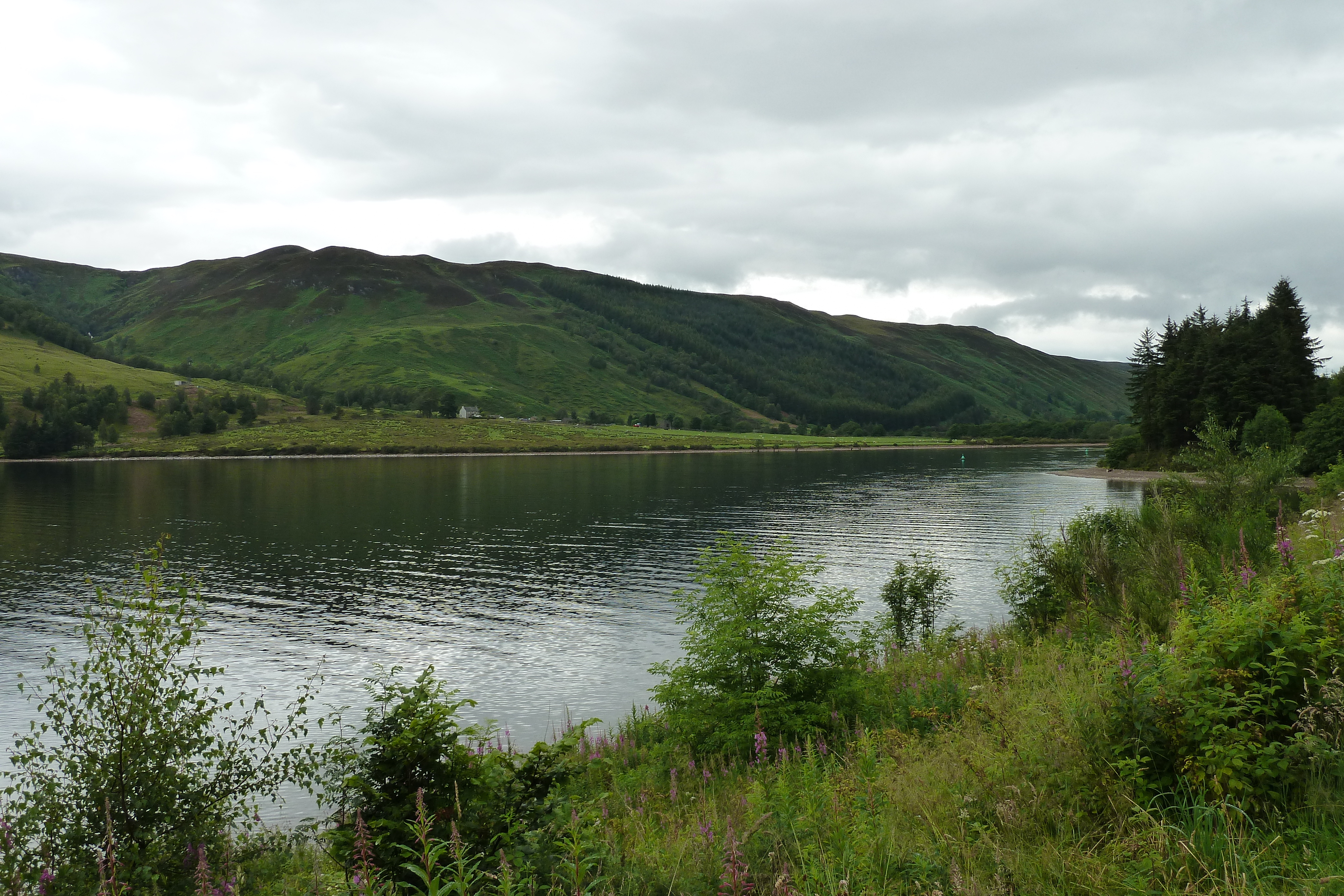รูปถ่าย อังกฤษ(United Kingdom) สกอตแลนด์(Scotland) ถนนจากทะเลสาบลอคลากันไปทะเลสาบล็อกเนสส์(Loch Laggan to Loch Ness road) 2011-07 19