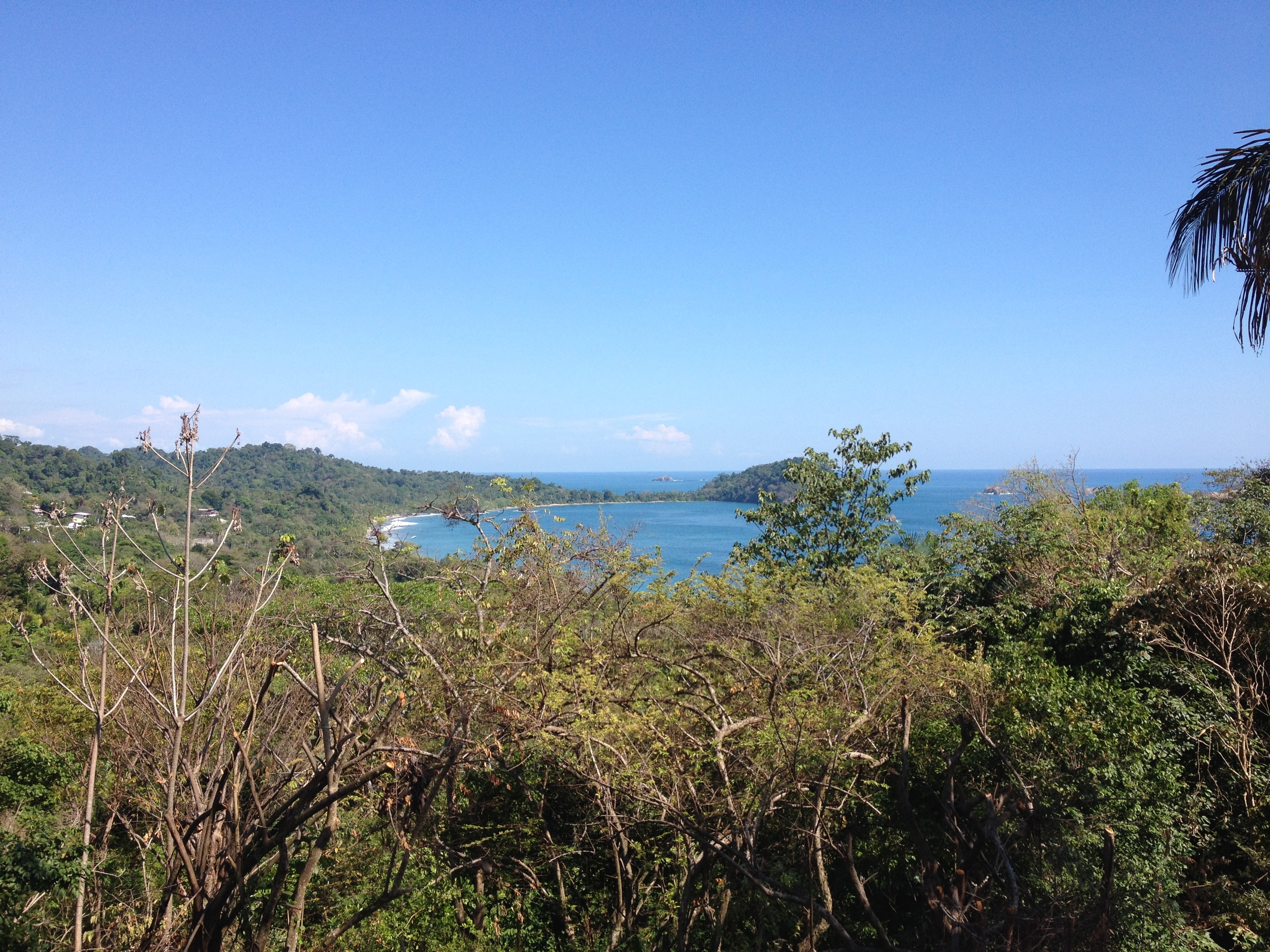 รูปถ่าย คอสตาริกา(Costa Rica) มานวยล์อันโตนีโอ(Manuel Antonio) 2015-03 417