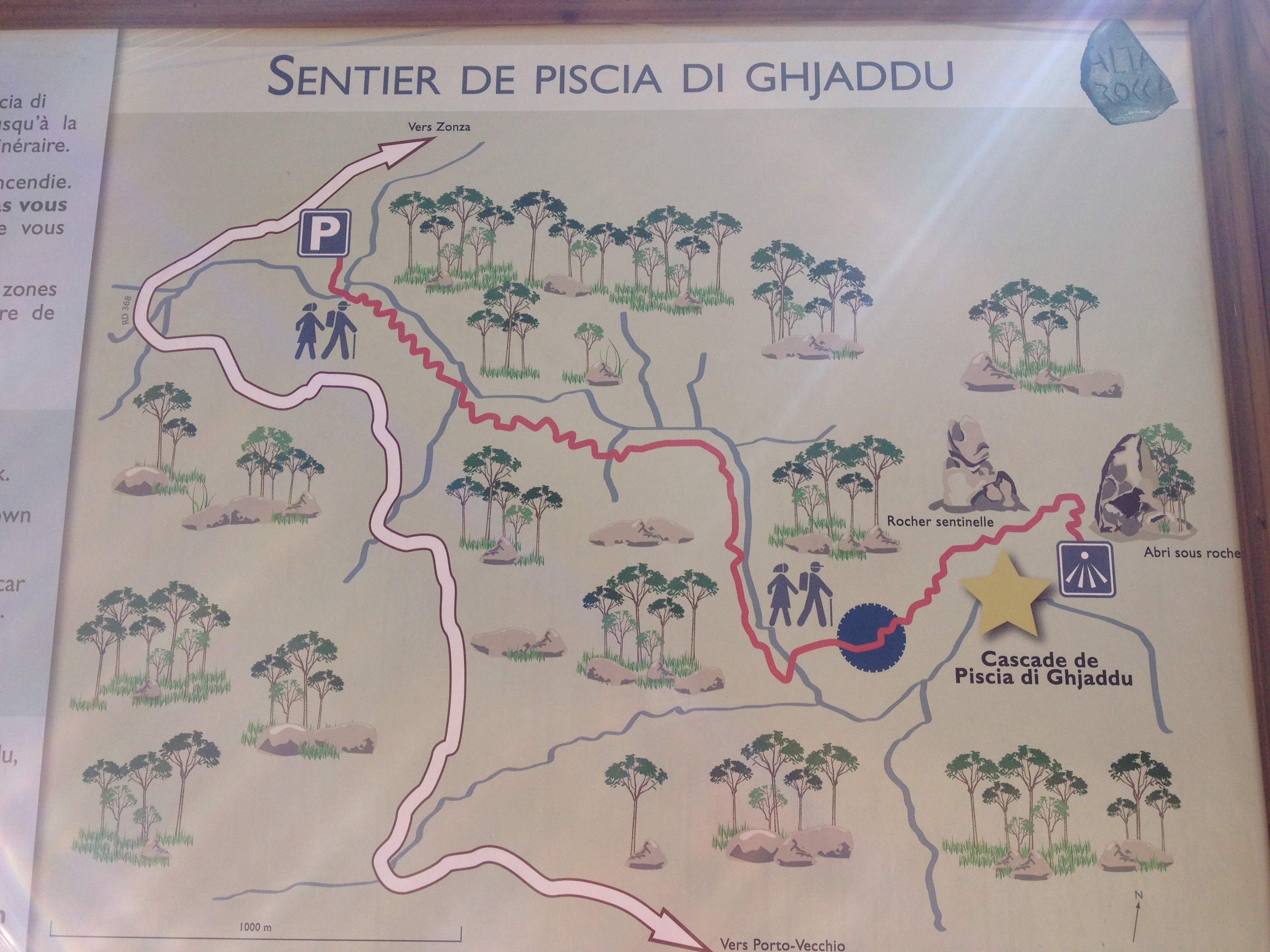 รูปถ่าย ฝรั่งเศส(France) คอร์สิคา(Corsica) ป่าลอสเปดาเล(L'ospedale Forest) 2012-09 20