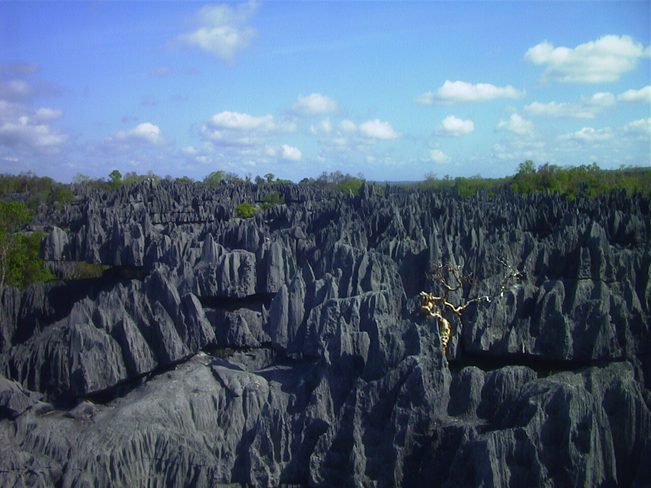 รูปถ่าย มาดากัสการ์(Madagascar) ทีซินกี(Tsingy) 1999-10 23